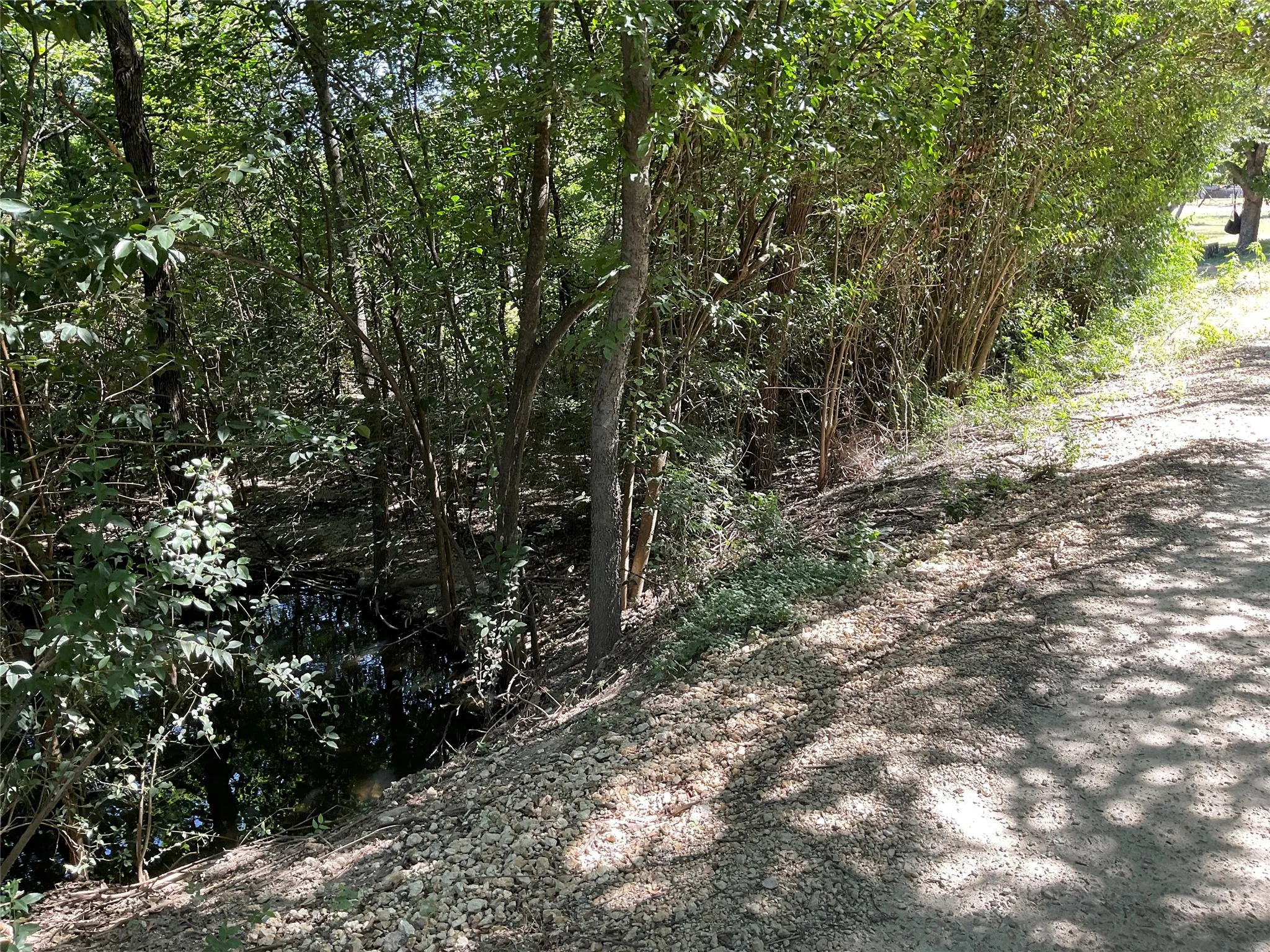 Wooded property behind home with Wet weather creek