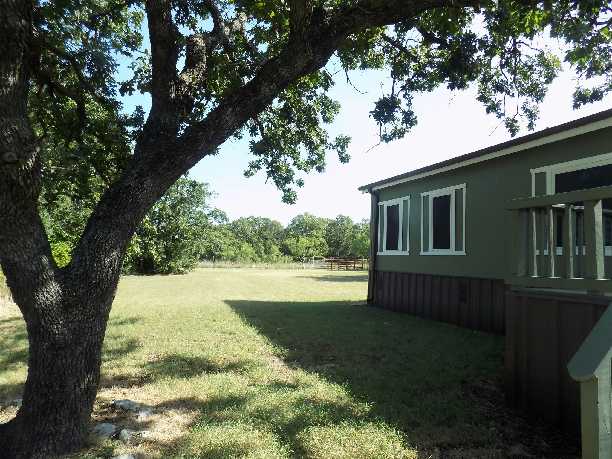 Beautiful yard with lovely trees, from the front of the house.
