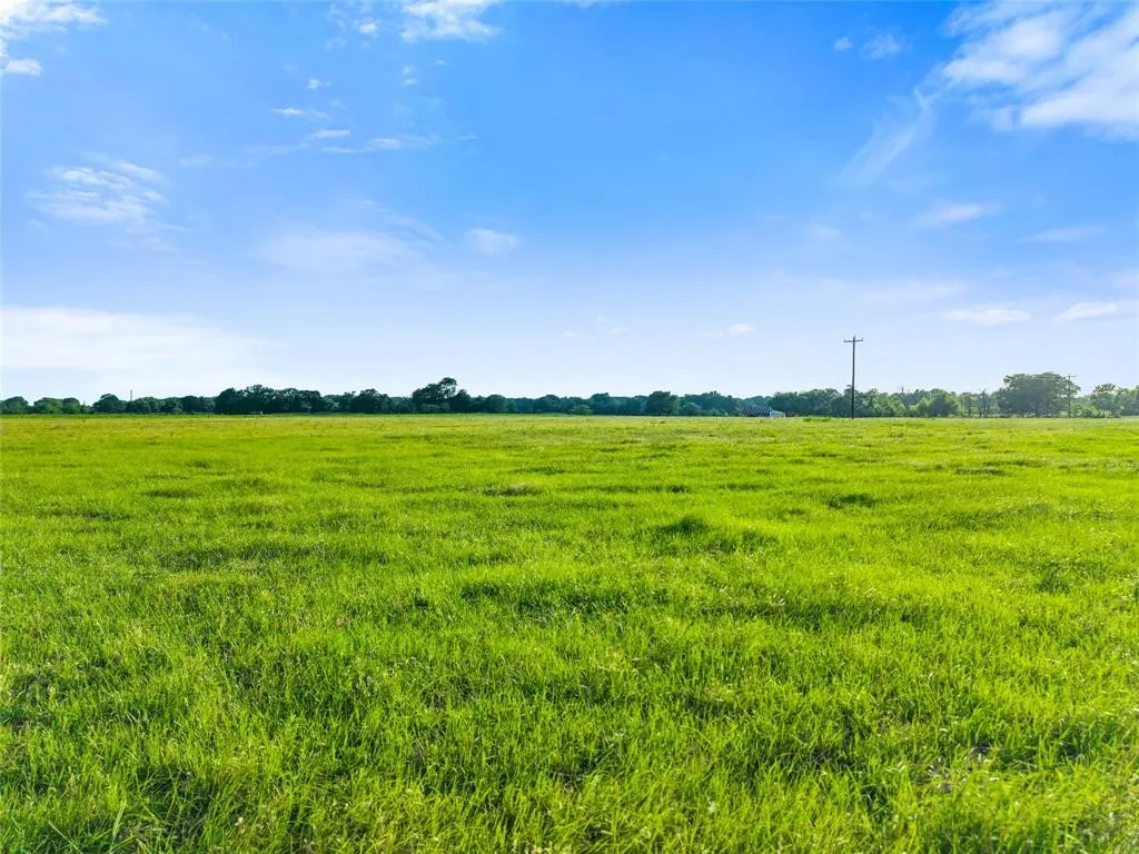 Unimproved Land For Sale in Henderson County , TBD Lot 4&5 W Cedar Creek Parkway W, Kemp, Texas 75143, 0, 0, Garage spaces, 0 Sqft, built in 0, Price $229,900, mls#21344527, Real Estate Agent in Kemp, Homes For Sale in Henderson county, Homes For Sale in Kemp, Realtor in Kemp Texas, Real Estate Brokerage Independent Realty Texas, Luminita Cordes Realtor