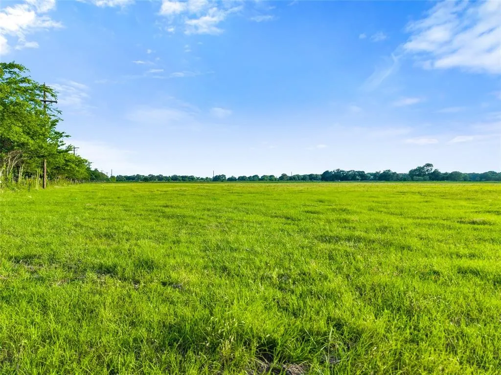 Unimproved Land For Sale in Henderson County , TBD Lot 4&5 W Cedar Creek Parkway W, Kemp, Texas 75143, 0, 0, Garage spaces, 0 Sqft, built in 0, Price $229,900, mls#21344527, Real Estate Agent in Kemp, Homes For Sale in Henderson county, Homes For Sale in Kemp, Realtor in Kemp Texas, Real Estate Brokerage Independent Realty Texas, Luminita Cordes Realtor