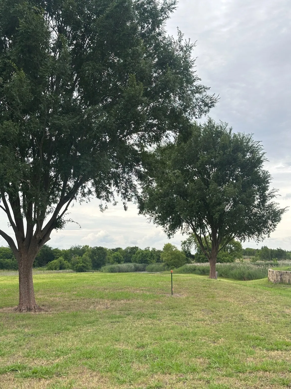 Expansive green space featuring established trees, natural vegetation, and a partially visible stone-finished retaining wall