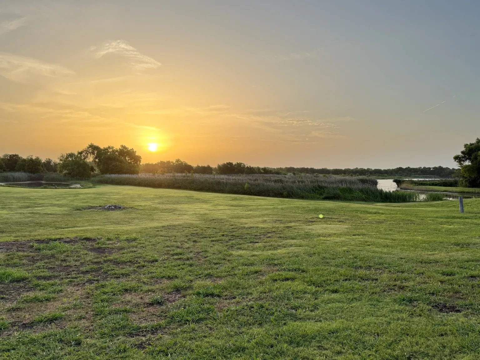 Expansive green lawn bordering a natural body of water with abundant reeds and distant trees