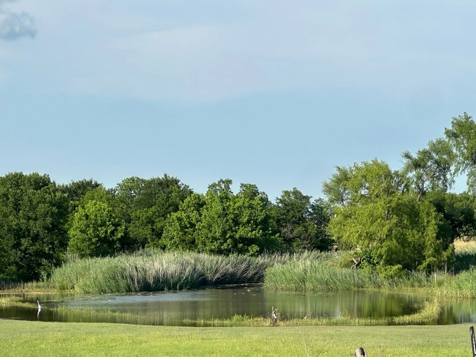 Improved Land For Sale in Rockwall County , 501 Smith Road, Mclendon Chisholm, Texas 75032, 0, 0, Garage spaces, 0 Sqft, built in 0, mls#21344635, Real Estate Agent in Mclendon Chisholm, Homes For Sale in Rockwall county, Homes For Sale in Mclendon Chisholm, Realtor in Mclendon Chisholm Texas, Real Estate Brokerage Independent Realty Texas, Luminita Cordes Realtor