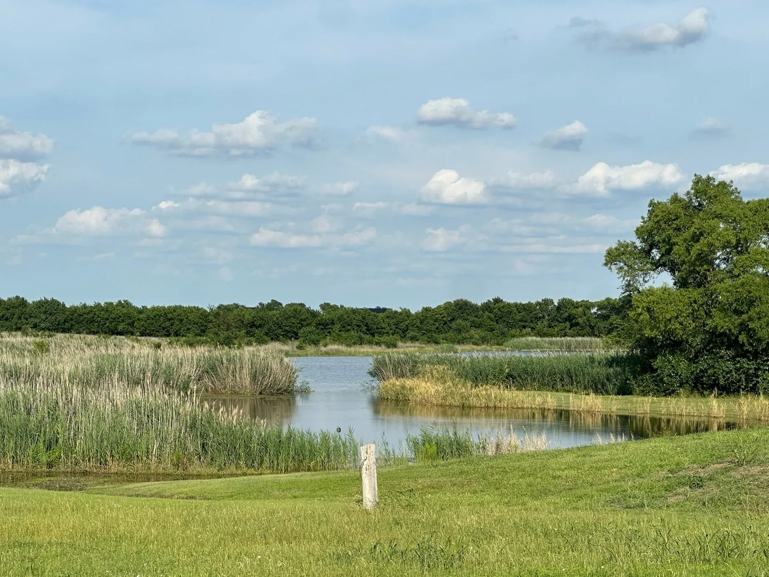Expansive natural landscape featuring a serene body of water, lush green grass, and mature trees lining the distant horizon