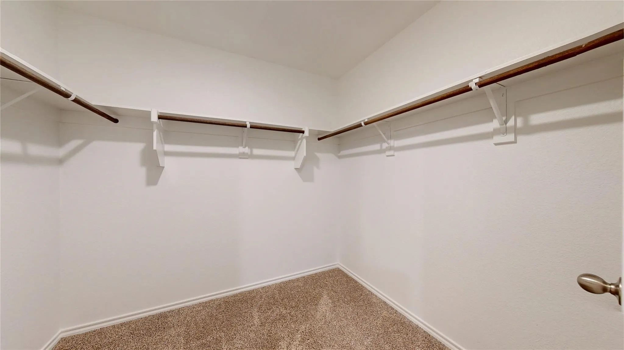 Walk-in closet featuring built-in shelving, hanging rods, light-toned carpeting, and a neutral wall finish