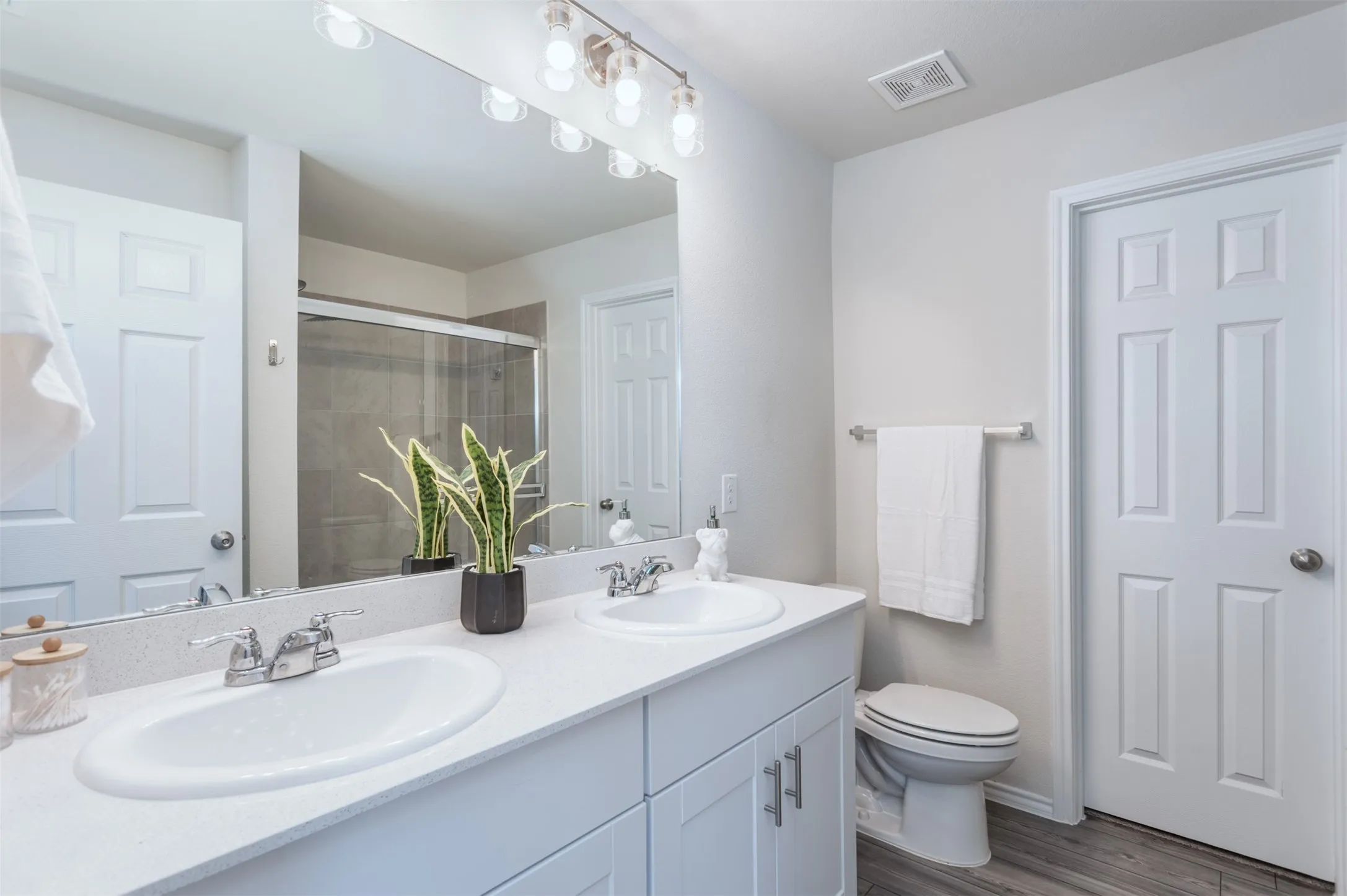 Primary Bath for your privacy. includes spacious walk-in closet