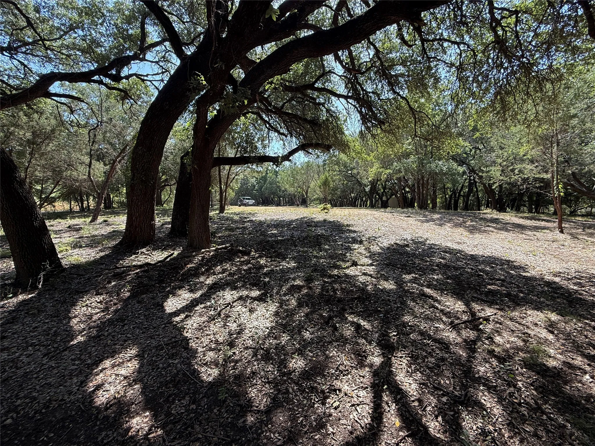 Unimproved Land For Sale in Bosque County , 279 CR 2440, Iredell, Texas 76649, 0, 0, Garage spaces, 0 Sqft, built in 0, mls#21344212, Real Estate Agent in Iredell, Homes For Sale in Bosque county, Homes For Sale in Iredell, Realtor in Iredell Texas, Real Estate Brokerage Independent Realty Texas, Luminita Cordes Realtor