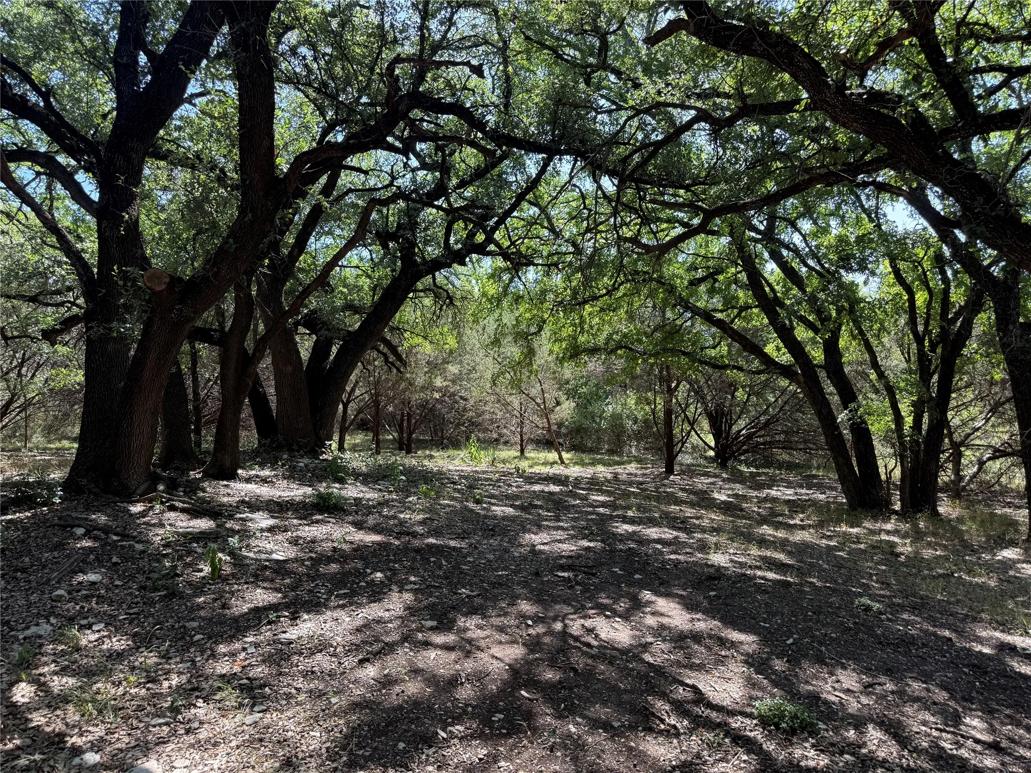 Unimproved Land For Sale in Bosque County , 279 CR 2440, Iredell, Texas 76649, 0, 0, Garage spaces, 0 Sqft, built in 0, mls#21344212, Real Estate Agent in Iredell, Homes For Sale in Bosque county, Homes For Sale in Iredell, Realtor in Iredell Texas, Real Estate Brokerage Independent Realty Texas, Luminita Cordes Realtor