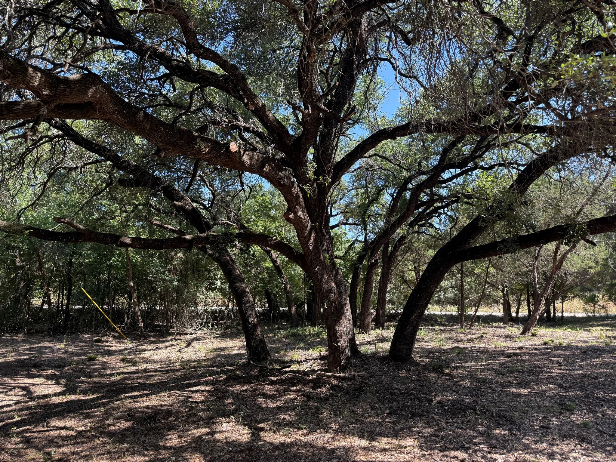 Unimproved Land For Sale in Bosque County , 279 CR 2440, Iredell, Texas 76649, 0, 0, Garage spaces, 0 Sqft, built in 0, mls#21344212, Real Estate Agent in Iredell, Homes For Sale in Bosque county, Homes For Sale in Iredell, Realtor in Iredell Texas, Real Estate Brokerage Independent Realty Texas, Luminita Cordes Realtor