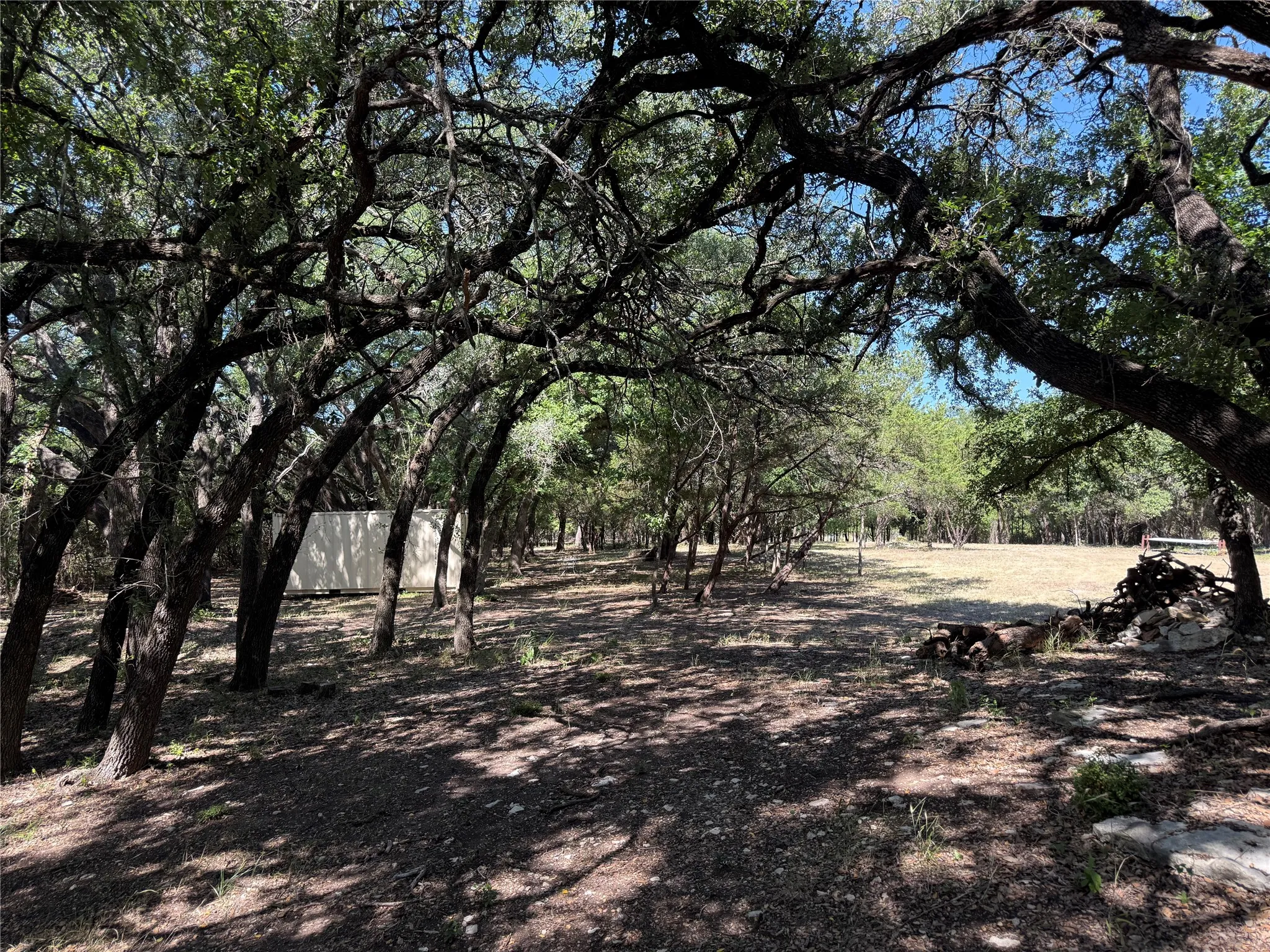 Unimproved Land For Sale in Bosque County , 279 CR 2440, Iredell, Texas 76649, 0, 0, Garage spaces, 0 Sqft, built in 0, mls#21344212, Real Estate Agent in Iredell, Homes For Sale in Bosque county, Homes For Sale in Iredell, Realtor in Iredell Texas, Real Estate Brokerage Independent Realty Texas, Luminita Cordes Realtor