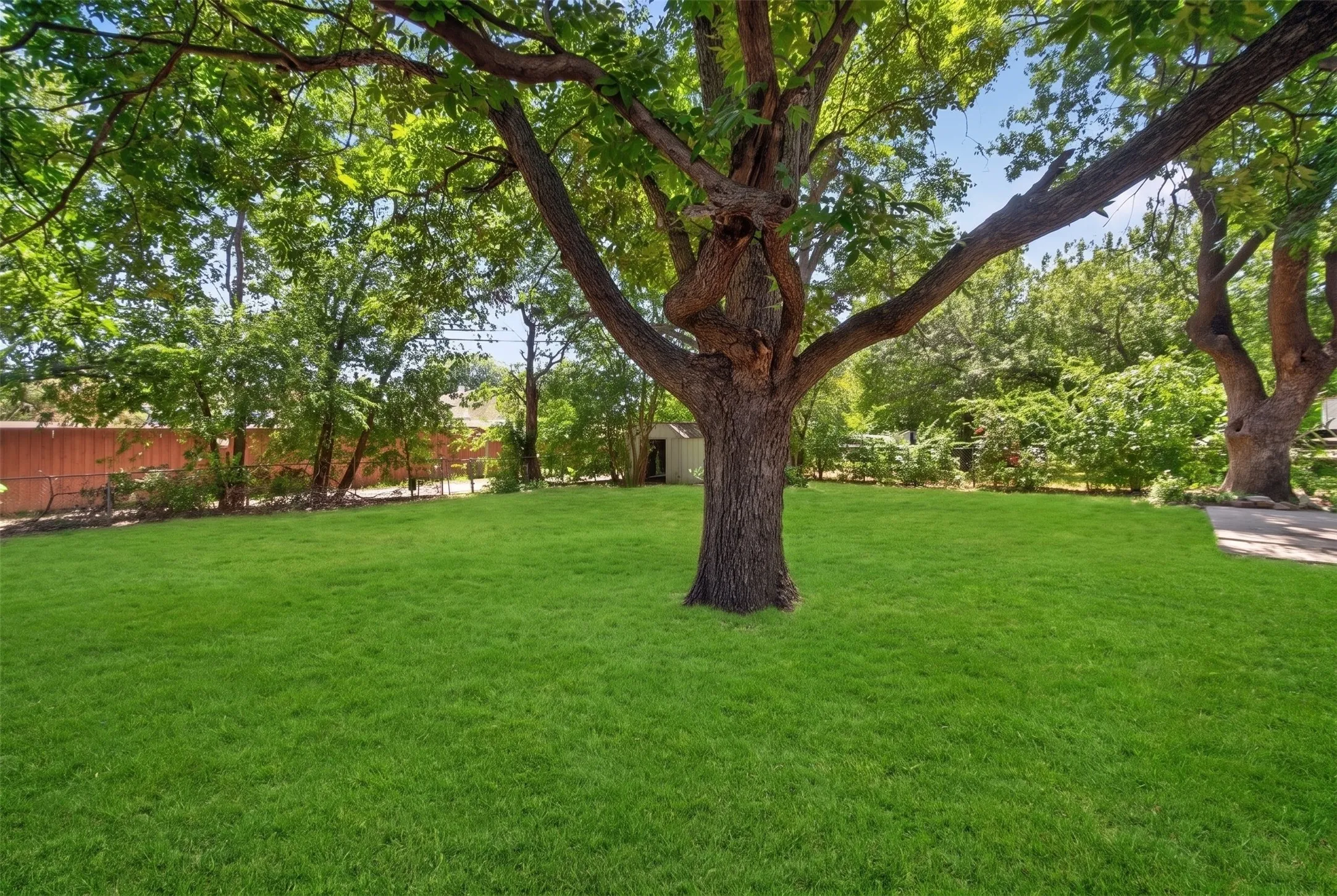 Expansive backyard featuring a mature central tree, additional perimeter trees, a manicured lawn, a wooden fence, and a concrete patio section