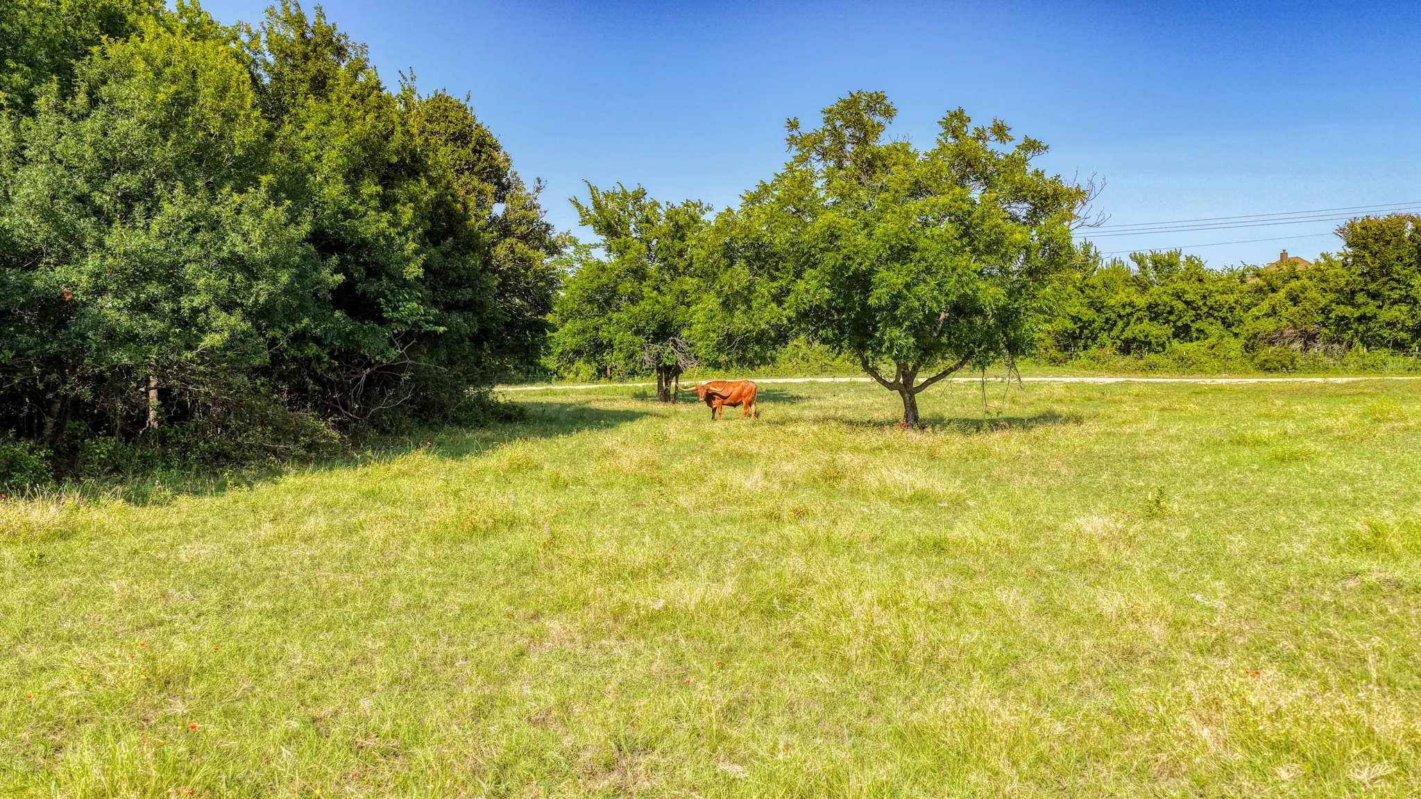 Single Family Residence For Sale in Parker County , Laramie TBD N FM 51, Weatherford, Texas 76088, 4 Bedrooms, 4 Bathrooms, 3 Garage spaces, 2,500 Sqft, built in 2026, Price $1,025,000, mls#21343705, Real Estate Agent in Weatherford, Homes For Sale in Parker county, Homes For Sale in Weatherford, Realtor in Weatherford Texas, Real Estate Brokerage Independent Realty Texas, Luminita Cordes Realtor
