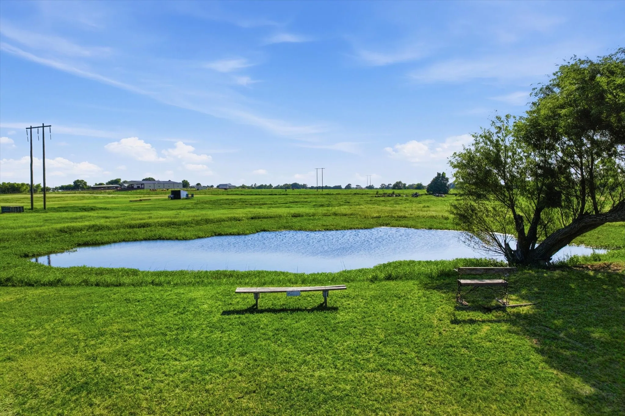 Farm For Sale in Grayson County , 685 W Line Road, Whitesboro, Texas 76273, 4 Bedroom, 4 Bathroom, 2 Garage spaces, 2,387 Sqft, built in 1997, mls#21344577, Real Estate Agent in Whitesboro, Homes For Sale in Grayson county, Homes For Sale in Whitesboro, Realtor in Whitesboro Texas, Real Estate Brokerage Independent Realty Texas, Luminita Cordes Realtor