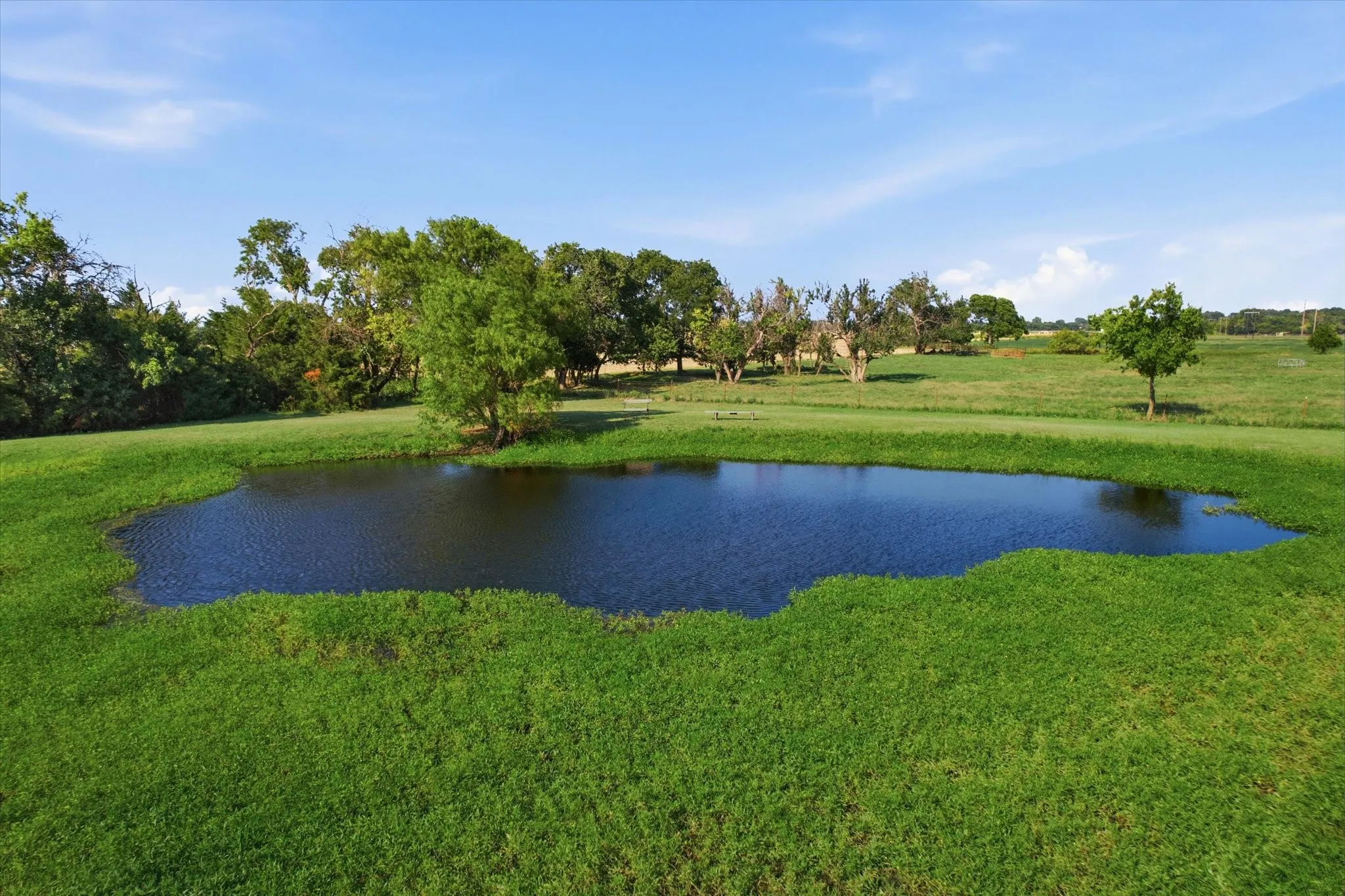 Farm For Sale in Grayson County , 685 W Line Road, Whitesboro, Texas 76273, 4 Bedroom, 4 Bathroom, 2 Garage spaces, 2,387 Sqft, built in 1997, mls#21344577, Real Estate Agent in Whitesboro, Homes For Sale in Grayson county, Homes For Sale in Whitesboro, Realtor in Whitesboro Texas, Real Estate Brokerage Independent Realty Texas, Luminita Cordes Realtor