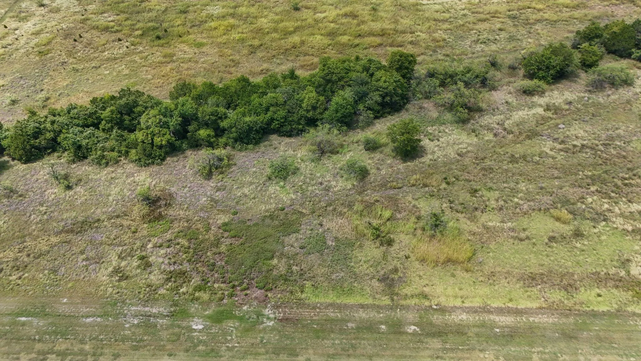 Expansive undeveloped land featuring diverse natural vegetation, including mature trees and varied ground cover