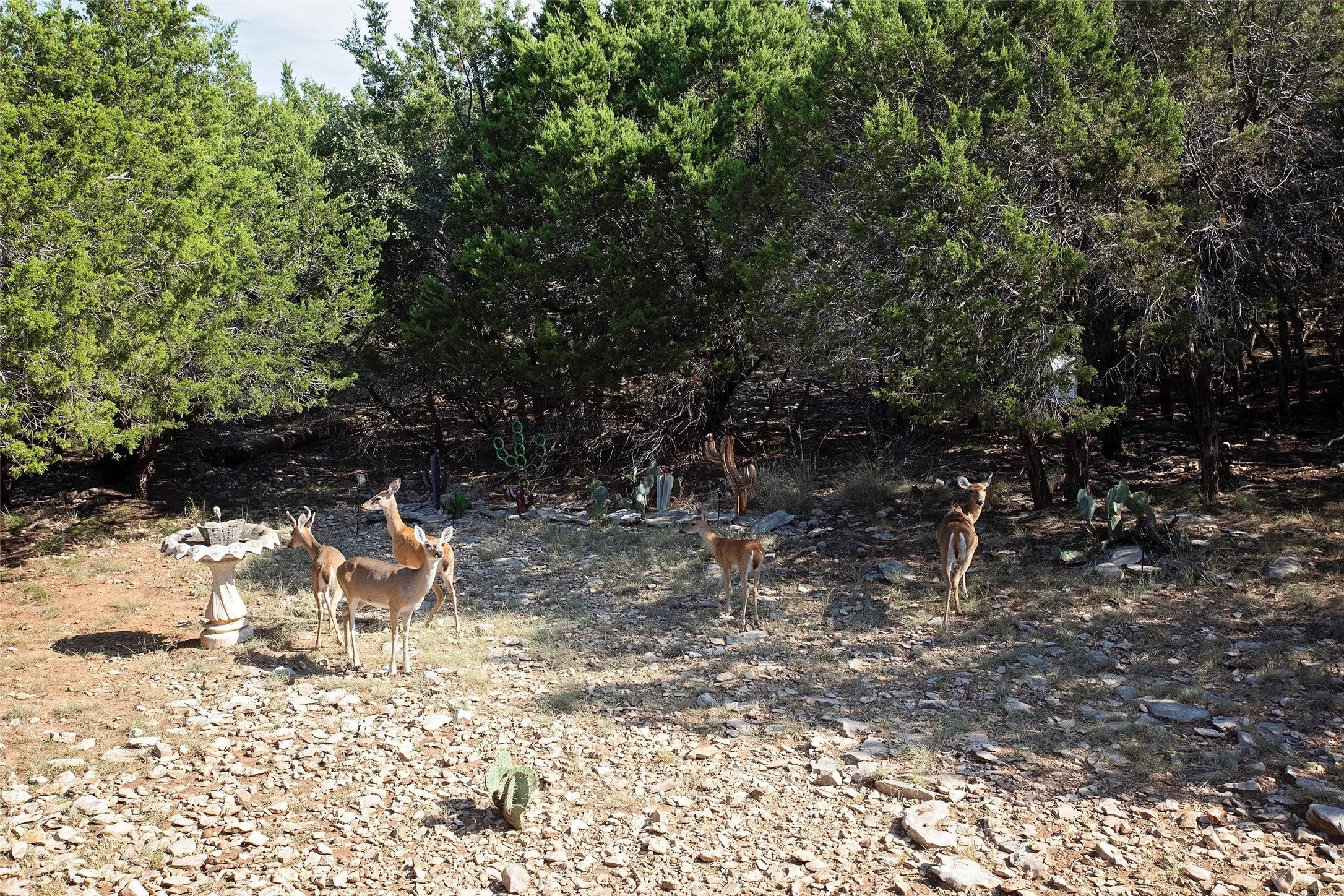 Single Family Residence For Sale in Palo Pinto County , 880 Cliffs Drive 2, Possum Kingdom Lake, Texas 76449, 3 Bedrooms, 2 Bathrooms, Garage spaces, 1,729 Sqft, built in 1998, Price $499,900, mls#21344750, Real Estate Agent in Possum Kingdom Lake, Homes For Sale in Palo Pinto county, Homes For Sale in Possum Kingdom Lake, Realtor in Possum Kingdom Lake Texas, Real Estate Brokerage Independent Realty Texas, Luminita Cordes Realtor