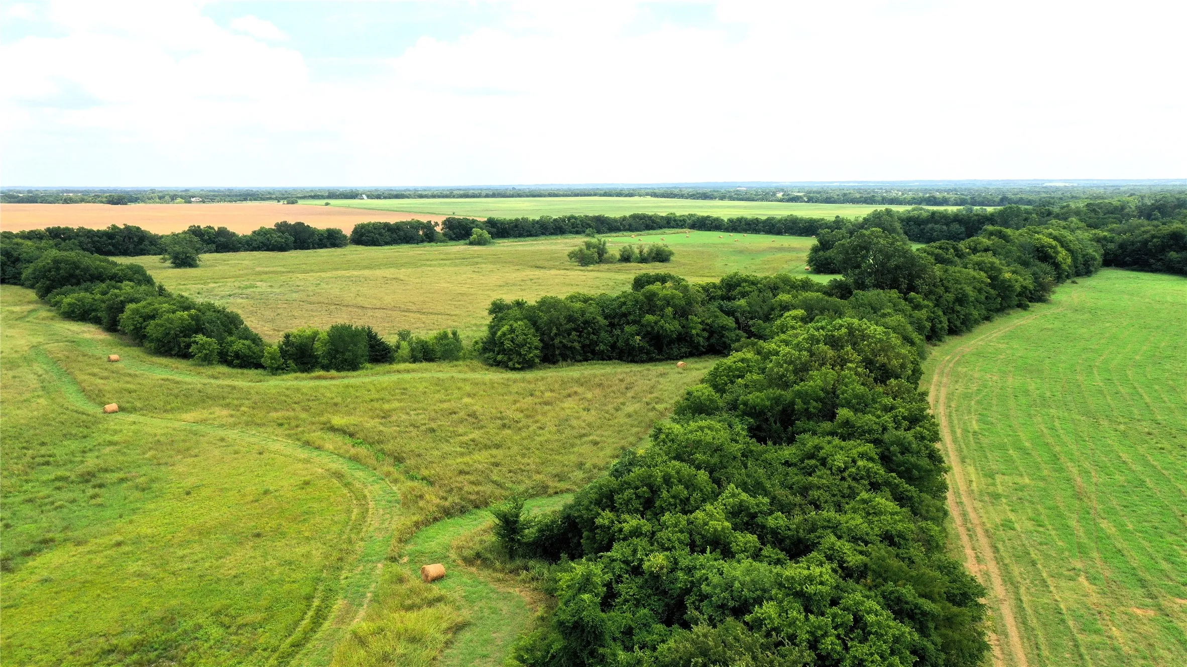 Unimproved Land For Sale in Hunt County , TBD CR 1055 Road, Celeste, Texas 75423, 0, 0, Garage spaces, 0 Sqft, built in 0, mls#21344861, Real Estate Agent in Celeste, Homes For Sale in Hunt county, Homes For Sale in Celeste, Realtor in Celeste Texas, Real Estate Brokerage Independent Realty Texas, Luminita Cordes Realtor