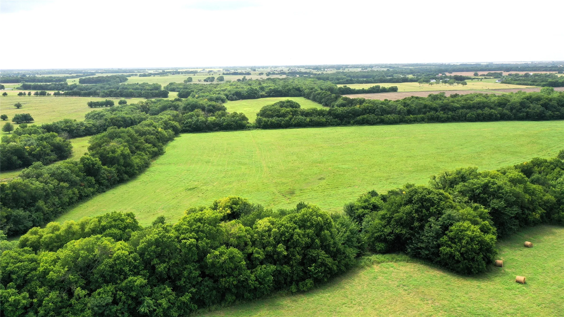 Unimproved Land For Sale in Hunt County , TBD CR 1055 Road, Celeste, Texas 75423, 0, 0, Garage spaces, 0 Sqft, built in 0, mls#21344861, Real Estate Agent in Celeste, Homes For Sale in Hunt county, Homes For Sale in Celeste, Realtor in Celeste Texas, Real Estate Brokerage Independent Realty Texas, Luminita Cordes Realtor