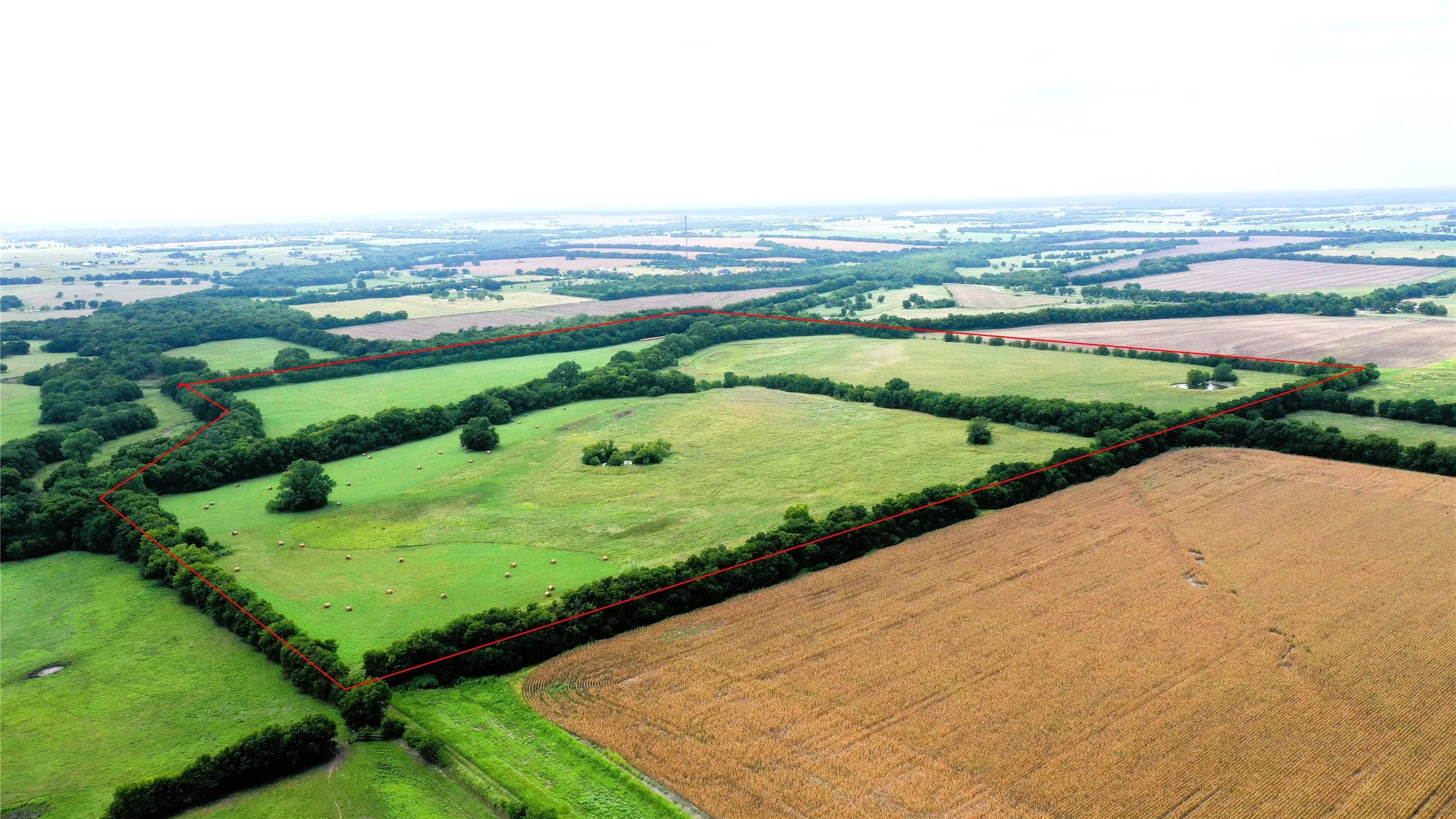 Unimproved Land For Sale in Hunt County , TBD CR 1055 Road, Celeste, Texas 75423, 0, 0, Garage spaces, 0 Sqft, built in 0, mls#21344861, Real Estate Agent in Celeste, Homes For Sale in Hunt county, Homes For Sale in Celeste, Realtor in Celeste Texas, Real Estate Brokerage Independent Realty Texas, Luminita Cordes Realtor