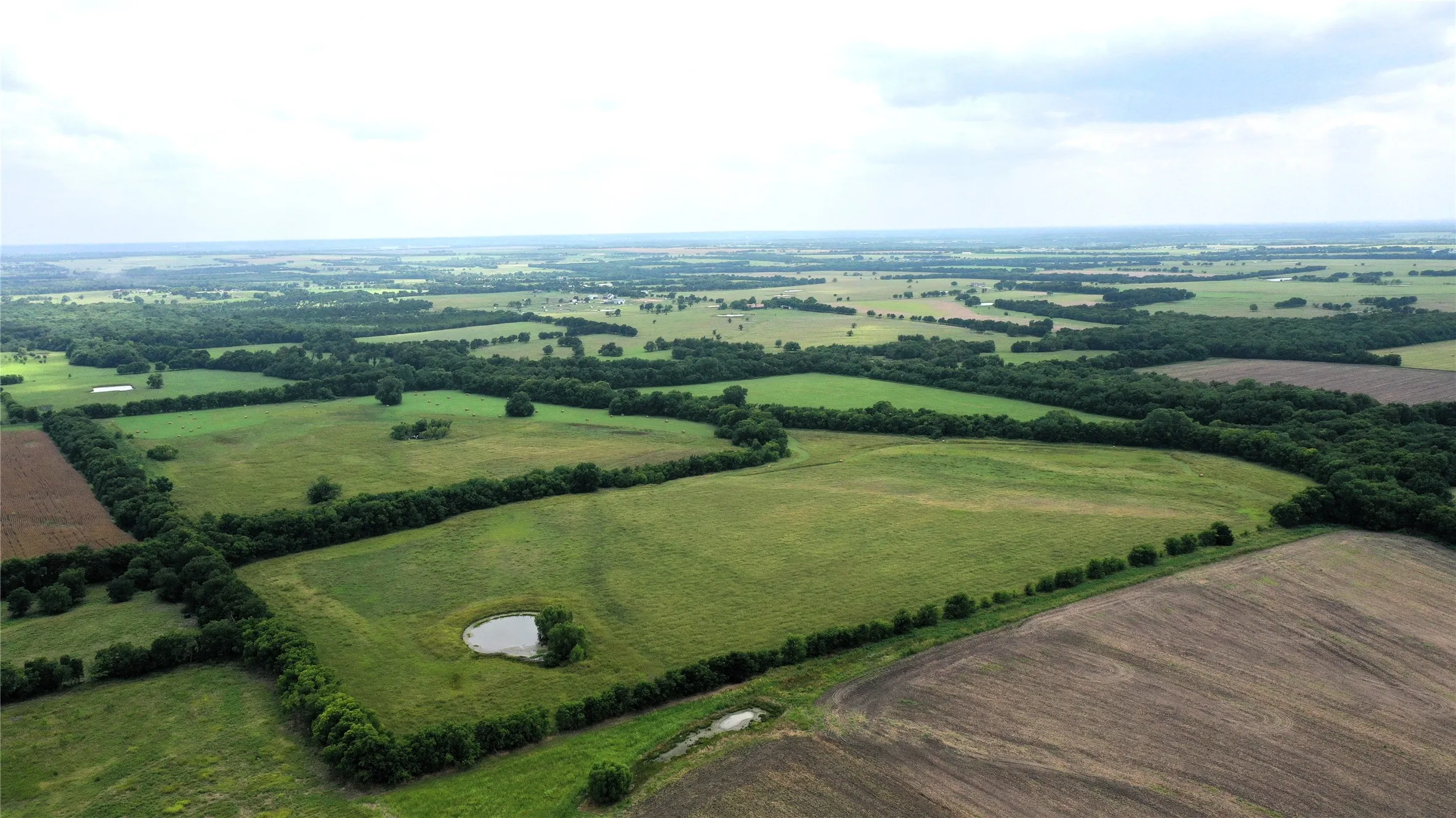 Unimproved Land For Sale in Hunt County , TBD CR 1055 Road, Celeste, Texas 75423, 0, 0, Garage spaces, 0 Sqft, built in 0, mls#21344861, Real Estate Agent in Celeste, Homes For Sale in Hunt county, Homes For Sale in Celeste, Realtor in Celeste Texas, Real Estate Brokerage Independent Realty Texas, Luminita Cordes Realtor
