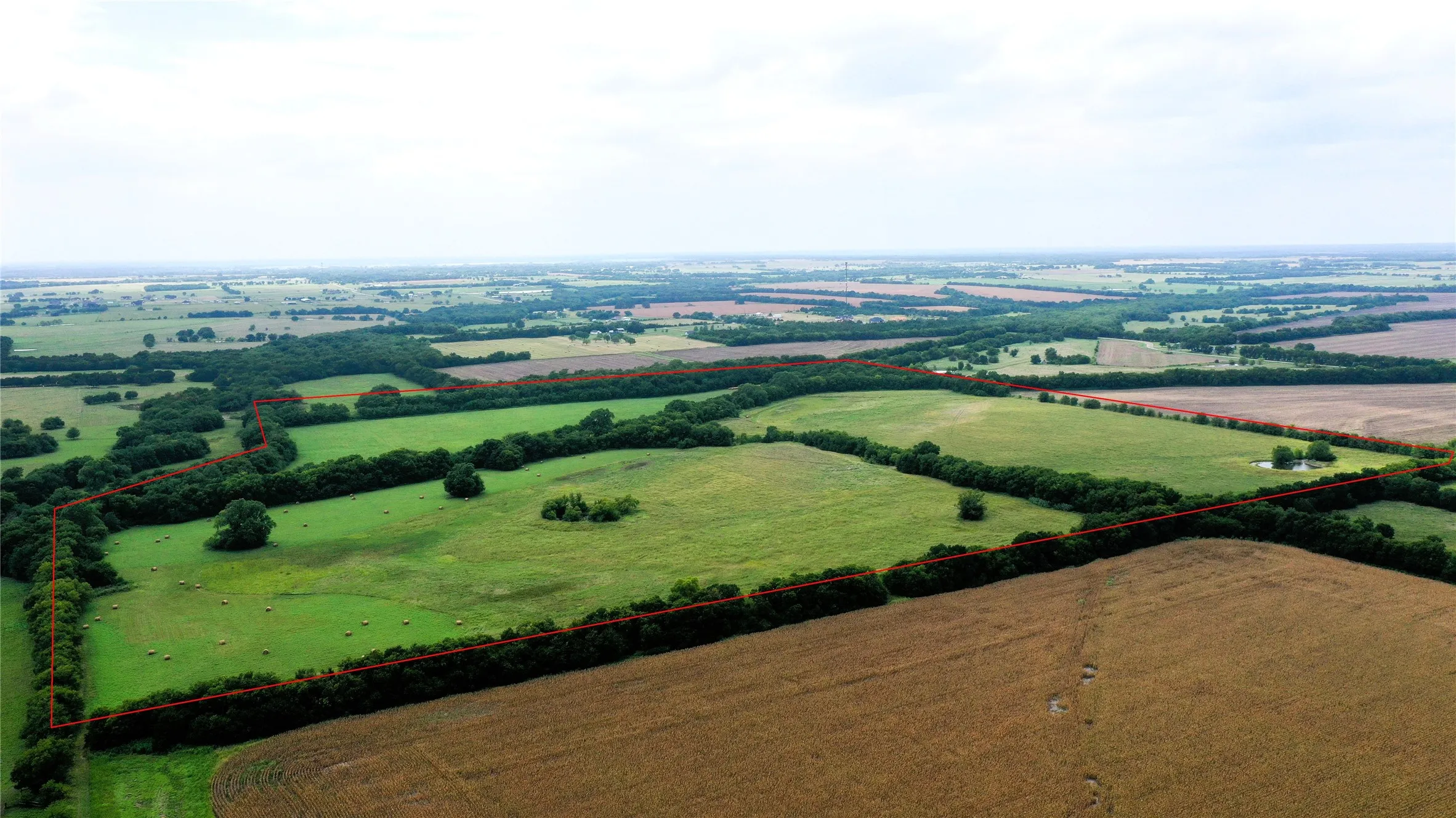 Unimproved Land For Sale in Hunt County , TBD CR 1055 Road, Celeste, Texas 75423, 0, 0, Garage spaces, 0 Sqft, built in 0, mls#21344861, Real Estate Agent in Celeste, Homes For Sale in Hunt county, Homes For Sale in Celeste, Realtor in Celeste Texas, Real Estate Brokerage Independent Realty Texas, Luminita Cordes Realtor