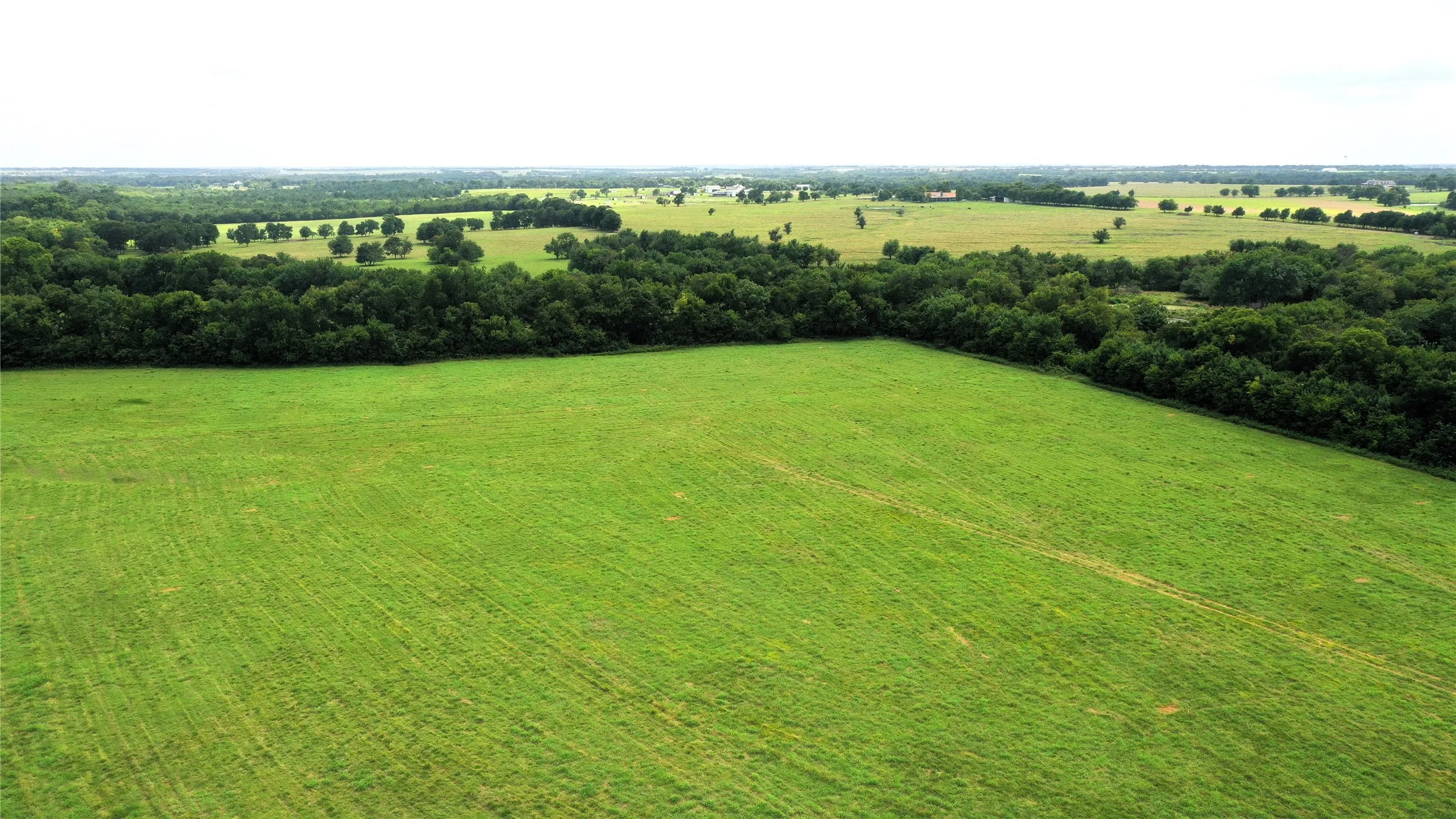 Unimproved Land For Sale in Hunt County , TBD CR 1055 Road, Celeste, Texas 75423, 0, 0, Garage spaces, 0 Sqft, built in 0, mls#21344861, Real Estate Agent in Celeste, Homes For Sale in Hunt county, Homes For Sale in Celeste, Realtor in Celeste Texas, Real Estate Brokerage Independent Realty Texas, Luminita Cordes Realtor