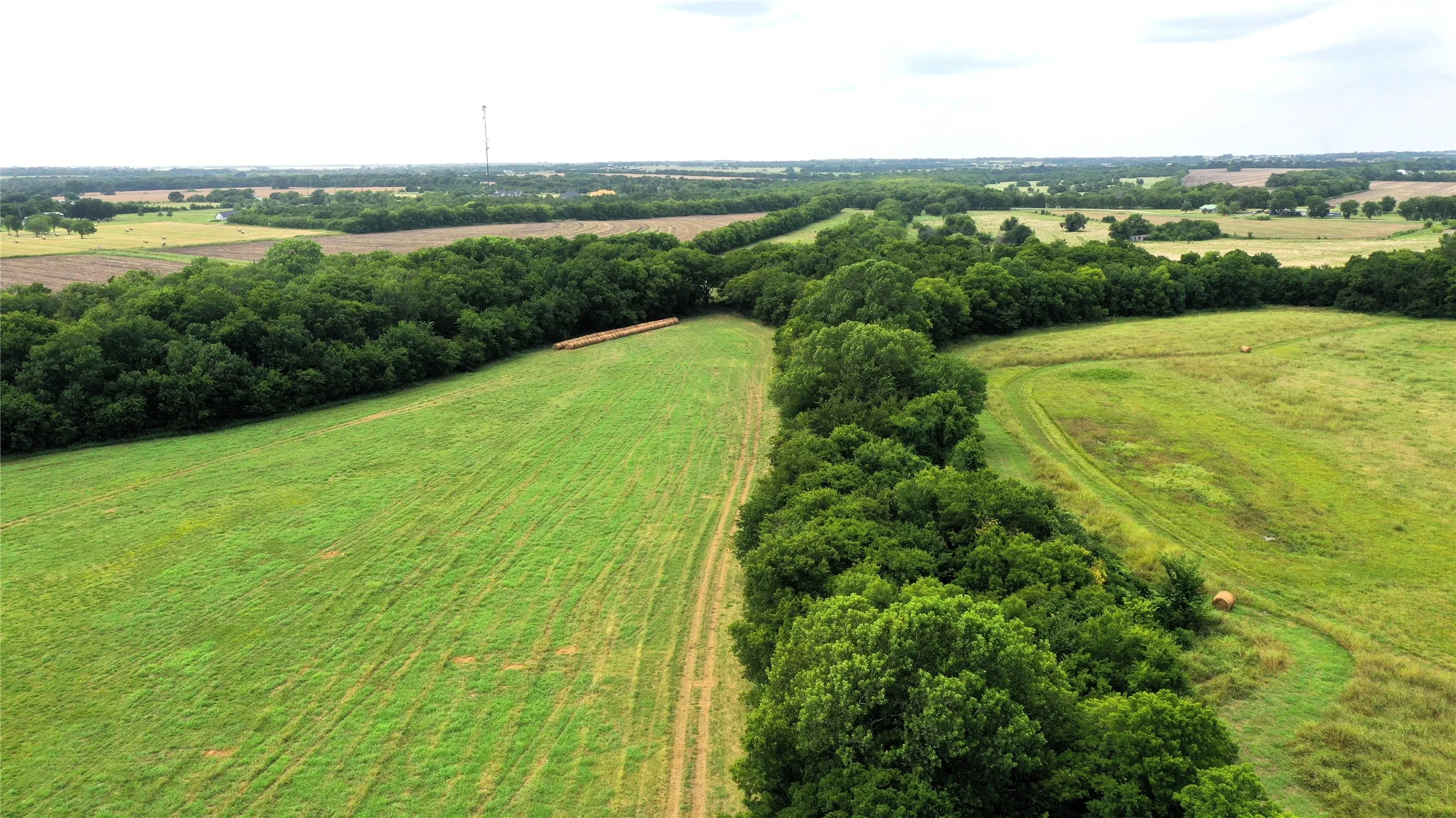 Unimproved Land For Sale in Hunt County , TBD CR 1055 Road, Celeste, Texas 75423, 0, 0, Garage spaces, 0 Sqft, built in 0, mls#21344861, Real Estate Agent in Celeste, Homes For Sale in Hunt county, Homes For Sale in Celeste, Realtor in Celeste Texas, Real Estate Brokerage Independent Realty Texas, Luminita Cordes Realtor