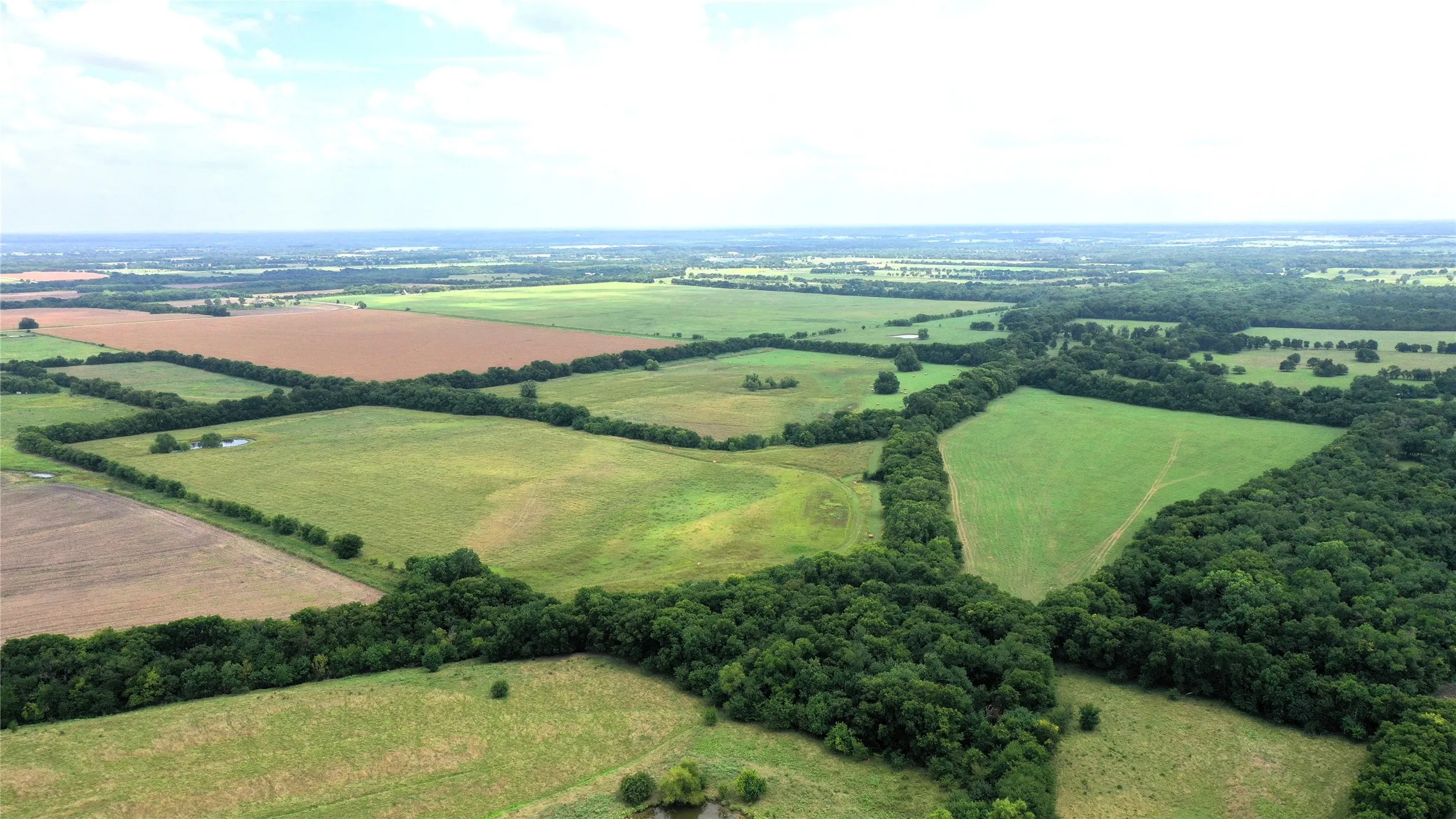 Unimproved Land For Sale in Hunt County , TBD CR 1055 Road, Celeste, Texas 75423, 0, 0, Garage spaces, 0 Sqft, built in 0, mls#21344861, Real Estate Agent in Celeste, Homes For Sale in Hunt county, Homes For Sale in Celeste, Realtor in Celeste Texas, Real Estate Brokerage Independent Realty Texas, Luminita Cordes Realtor