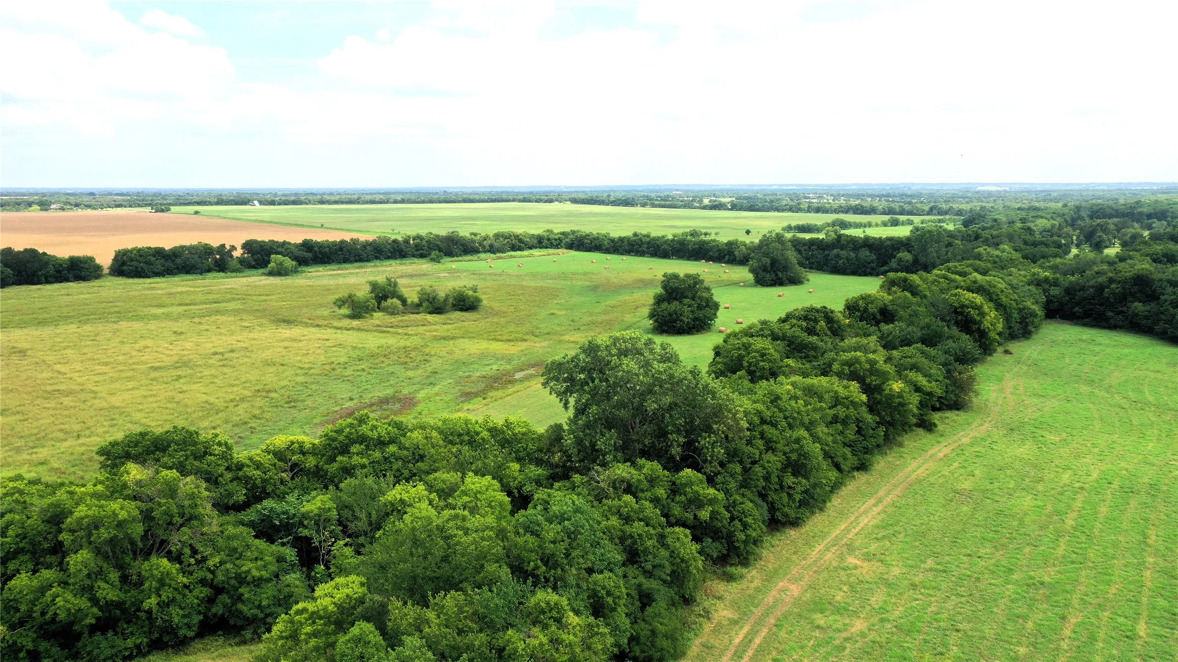Unimproved Land For Sale in Hunt County , TBD CR 1055 Road, Celeste, Texas 75423, 0, 0, Garage spaces, 0 Sqft, built in 0, mls#21344861, Real Estate Agent in Celeste, Homes For Sale in Hunt county, Homes For Sale in Celeste, Realtor in Celeste Texas, Real Estate Brokerage Independent Realty Texas, Luminita Cordes Realtor