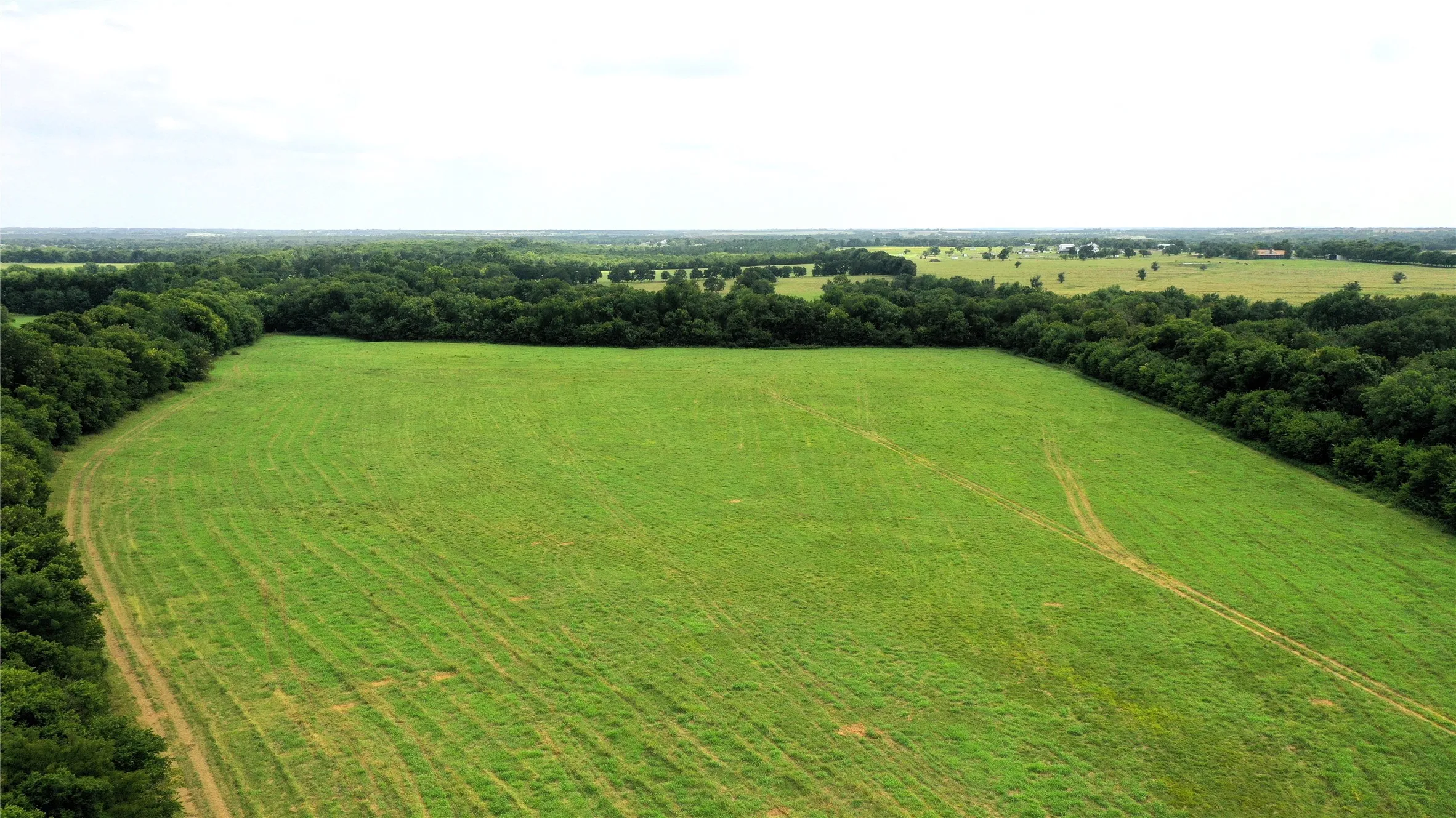 Unimproved Land For Sale in Hunt County , TBD CR 1055 Road, Celeste, Texas 75423, 0, 0, Garage spaces, 0 Sqft, built in 0, mls#21344861, Real Estate Agent in Celeste, Homes For Sale in Hunt county, Homes For Sale in Celeste, Realtor in Celeste Texas, Real Estate Brokerage Independent Realty Texas, Luminita Cordes Realtor
