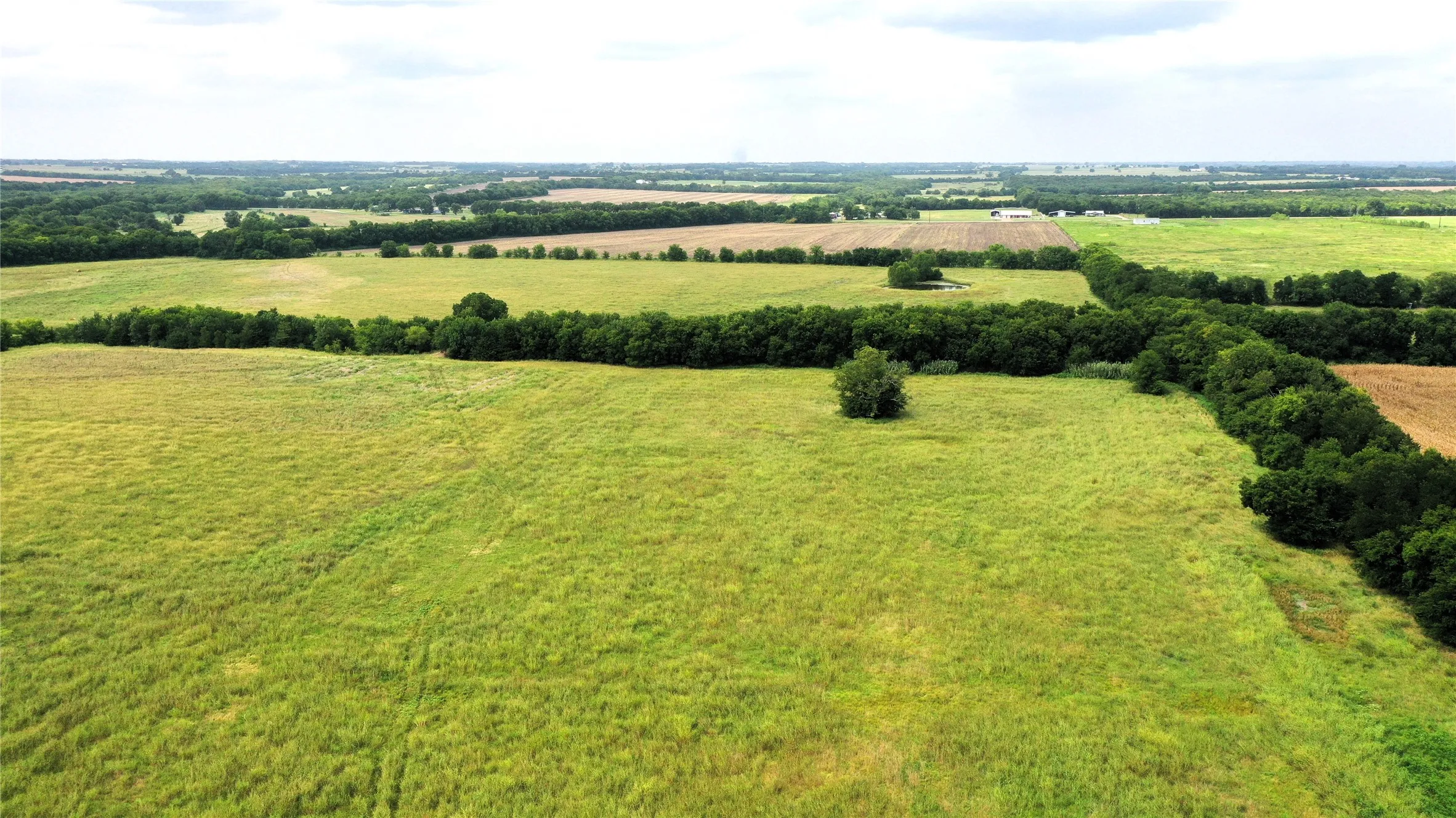 Unimproved Land For Sale in Hunt County , TBD CR 1055 Road, Celeste, Texas 75423, 0, 0, Garage spaces, 0 Sqft, built in 0, mls#21344861, Real Estate Agent in Celeste, Homes For Sale in Hunt county, Homes For Sale in Celeste, Realtor in Celeste Texas, Real Estate Brokerage Independent Realty Texas, Luminita Cordes Realtor