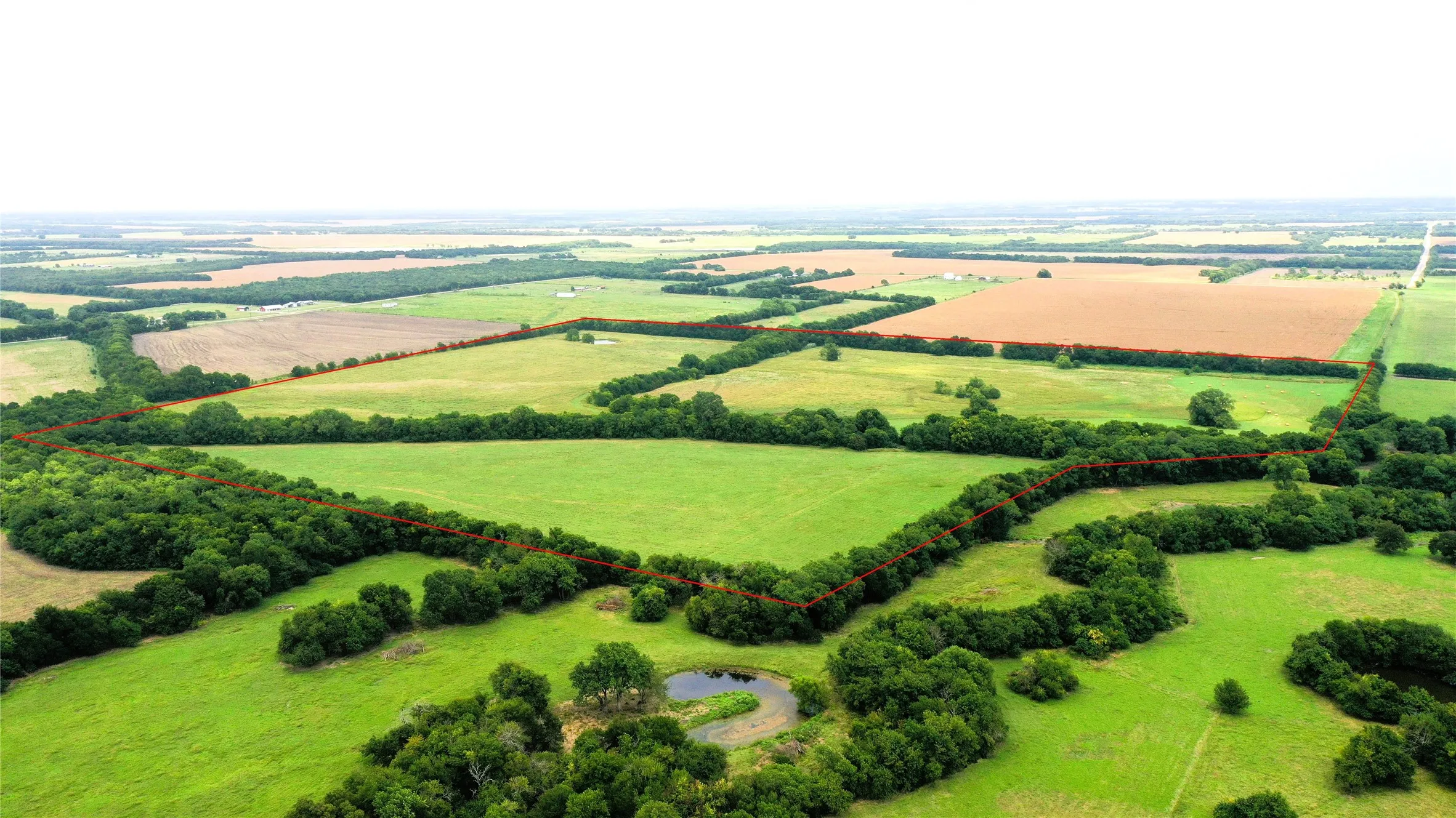 Unimproved Land For Sale in Hunt County , TBD CR 1055 Road, Celeste, Texas 75423, 0, 0, Garage spaces, 0 Sqft, built in 0, mls#21344861, Real Estate Agent in Celeste, Homes For Sale in Hunt county, Homes For Sale in Celeste, Realtor in Celeste Texas, Real Estate Brokerage Independent Realty Texas, Luminita Cordes Realtor