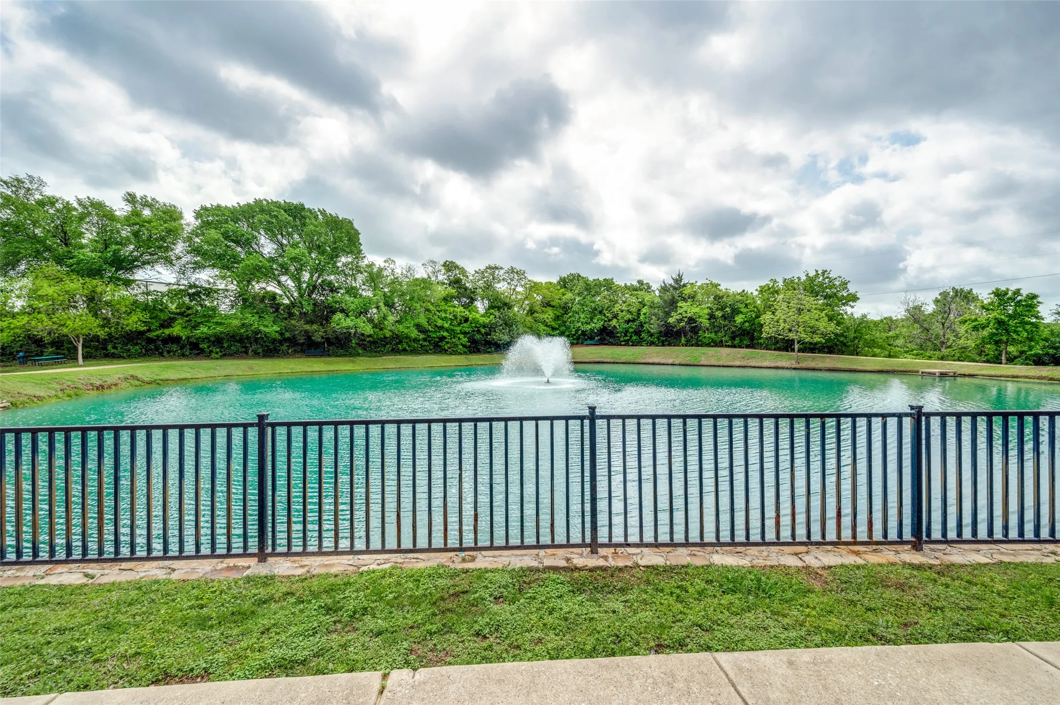 Additional view of the pond from the backyard