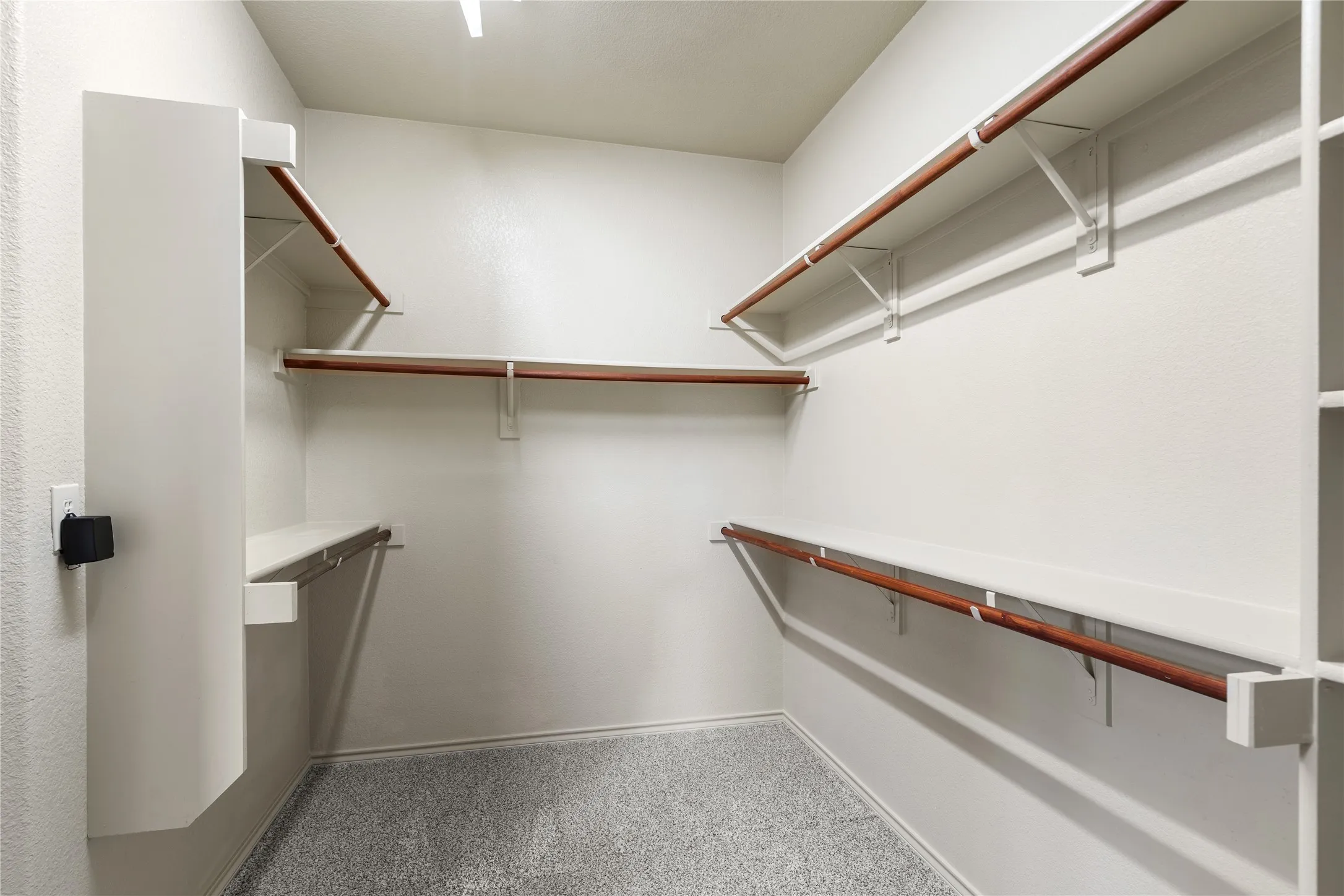 Spacious closet with carpet flooring