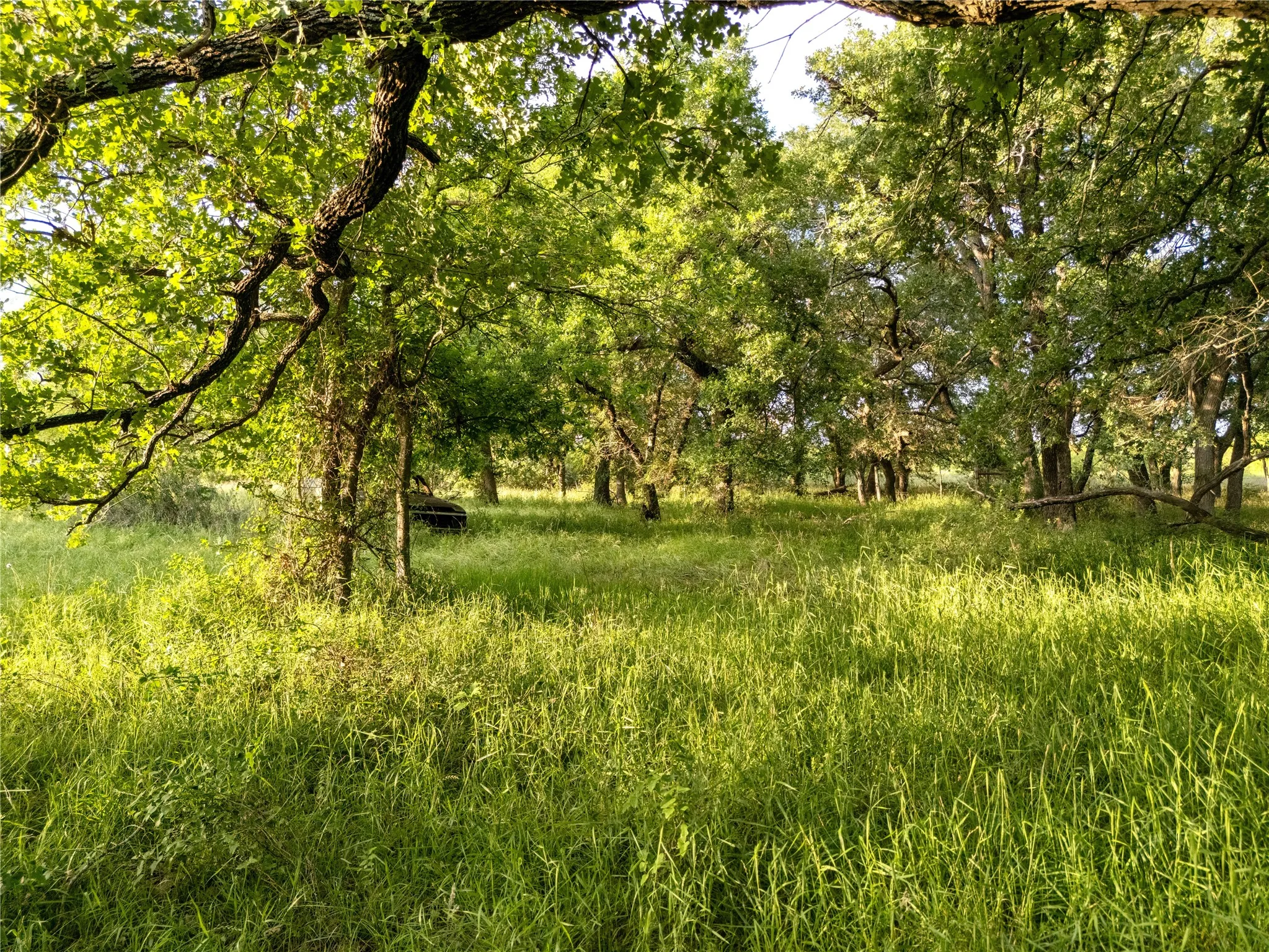 Improved Land For Sale in Mc Lennan County , TBD League Ranch Road, Waco, Texas 76705, 0, 0, Garage spaces, 0 Sqft, built in 0, Price $399,000, mls#21344964, Real Estate Agent in Waco, Homes For Sale in Mc Lennan county, Homes For Sale in Waco, Realtor in Waco Texas, Real Estate Brokerage Independent Realty Texas, Luminita Cordes Realtor