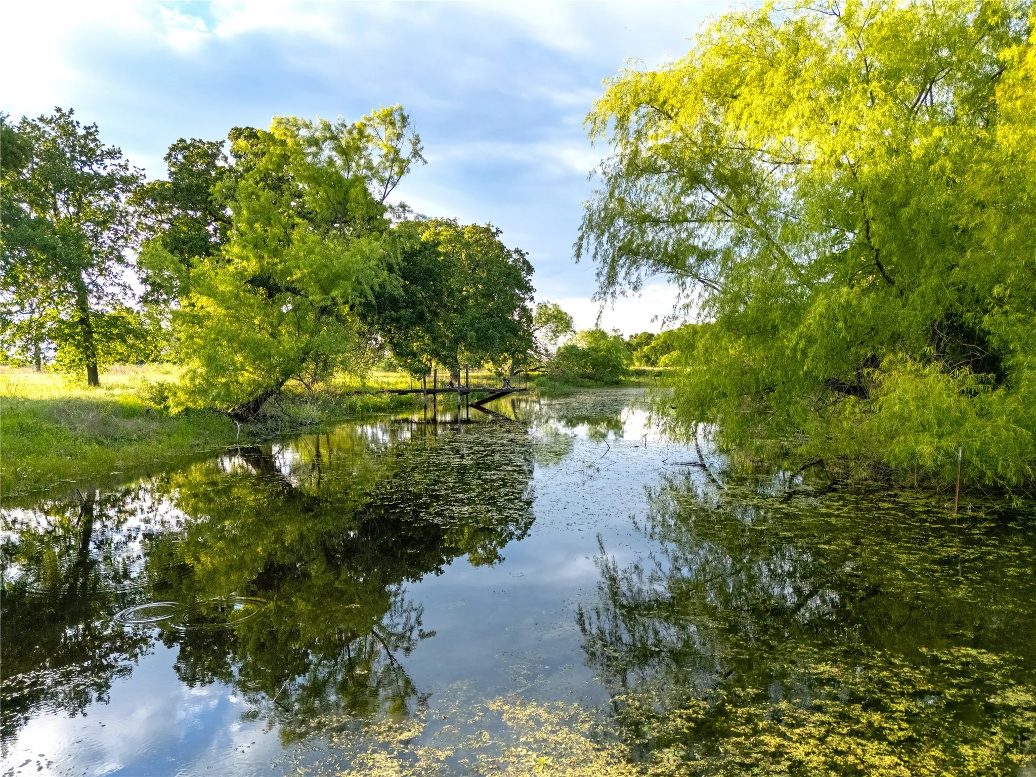 Improved Land For Sale in Mc Lennan County , TBD League Ranch Road, Waco, Texas 76705, 0, 0, Garage spaces, 0 Sqft, built in 0, Price $399,000, mls#21344964, Real Estate Agent in Waco, Homes For Sale in Mc Lennan county, Homes For Sale in Waco, Realtor in Waco Texas, Real Estate Brokerage Independent Realty Texas, Luminita Cordes Realtor