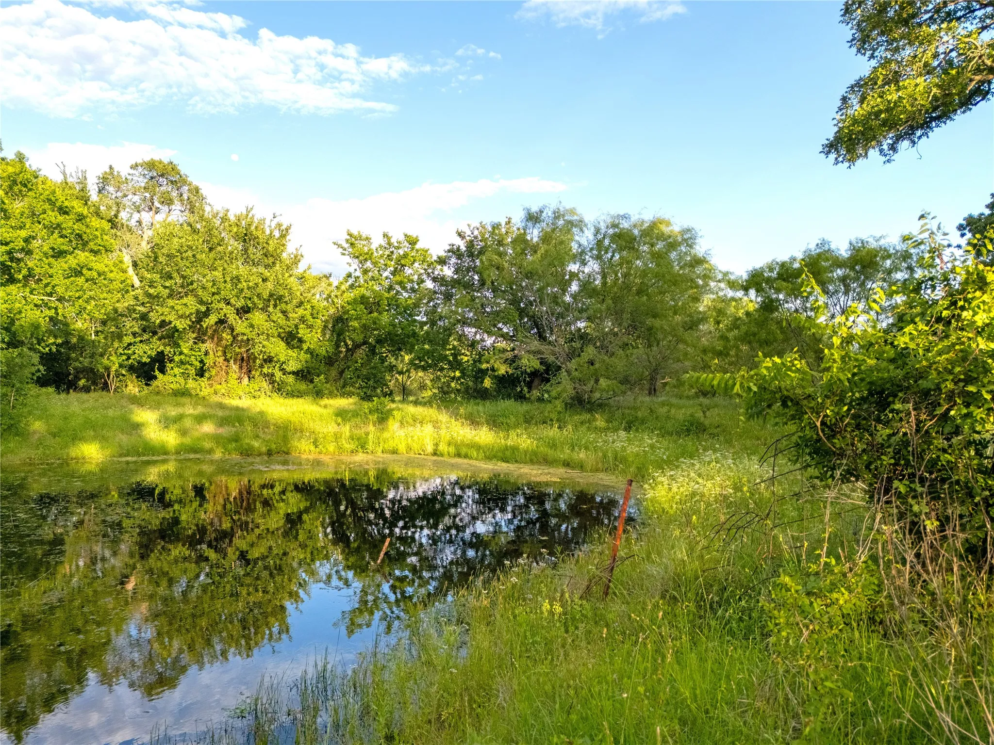Improved Land For Sale in Mc Lennan County , TBD League Ranch Road, Waco, Texas 76705, 0, 0, Garage spaces, 0 Sqft, built in 0, Price $399,000, mls#21344964, Real Estate Agent in Waco, Homes For Sale in Mc Lennan county, Homes For Sale in Waco, Realtor in Waco Texas, Real Estate Brokerage Independent Realty Texas, Luminita Cordes Realtor