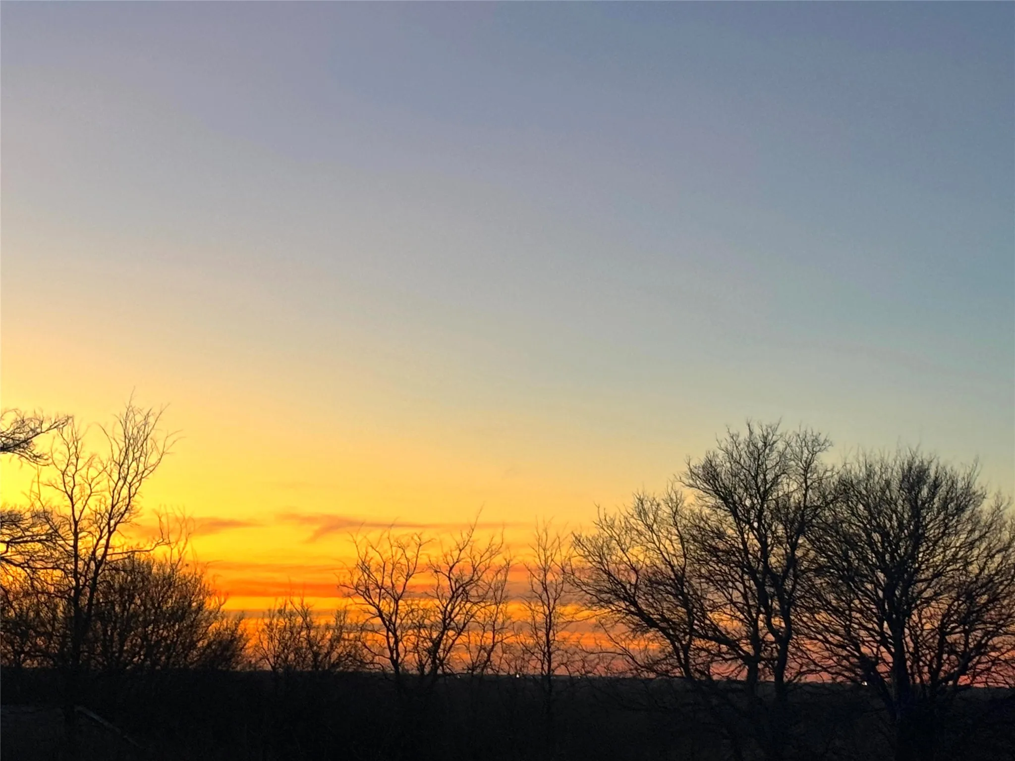 Improved Land For Sale in Mc Lennan County , TBD League Ranch Road, Waco, Texas 76705, 0, 0, Garage spaces, 0 Sqft, built in 0, Price $399,000, mls#21344964, Real Estate Agent in Waco, Homes For Sale in Mc Lennan county, Homes For Sale in Waco, Realtor in Waco Texas, Real Estate Brokerage Independent Realty Texas, Luminita Cordes Realtor