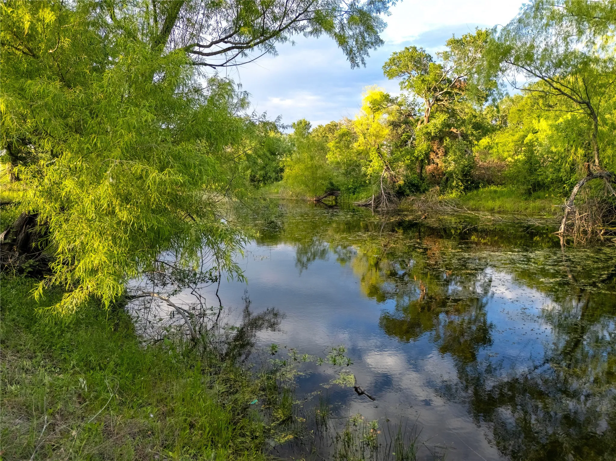 Improved Land For Sale in Mc Lennan County , TBD League Ranch Road, Waco, Texas 76705, 0, 0, Garage spaces, 0 Sqft, built in 0, Price $399,000, mls#21344964, Real Estate Agent in Waco, Homes For Sale in Mc Lennan county, Homes For Sale in Waco, Realtor in Waco Texas, Real Estate Brokerage Independent Realty Texas, Luminita Cordes Realtor