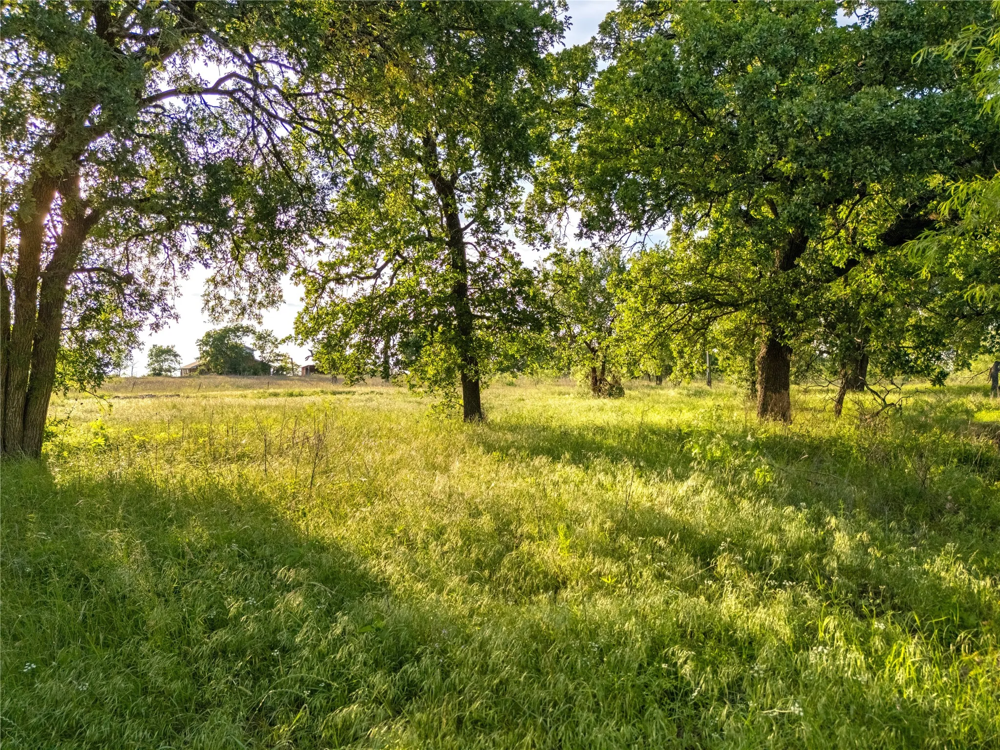 Improved Land For Sale in Mc Lennan County , TBD League Ranch Road, Waco, Texas 76705, 0, 0, Garage spaces, 0 Sqft, built in 0, Price $399,000, mls#21344964, Real Estate Agent in Waco, Homes For Sale in Mc Lennan county, Homes For Sale in Waco, Realtor in Waco Texas, Real Estate Brokerage Independent Realty Texas, Luminita Cordes Realtor