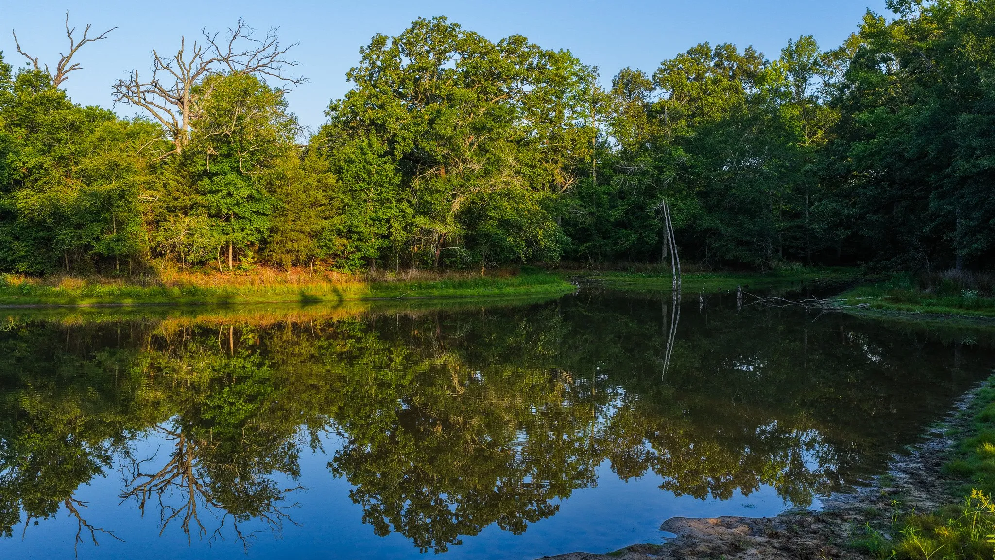Ranch For Sale in Van Zandt County , 0000 VZ County Road 4912, Ben Wheeler, Texas 75754, 0, 0, Garage spaces, 0 Sqft, built in 0, Price $1,550,000, mls#21344972, Real Estate Agent in Ben Wheeler, Homes For Sale in Van Zandt county, Homes For Sale in Ben Wheeler, Realtor in Ben Wheeler Texas, Real Estate Brokerage Independent Realty Texas, Luminita Cordes Realtor