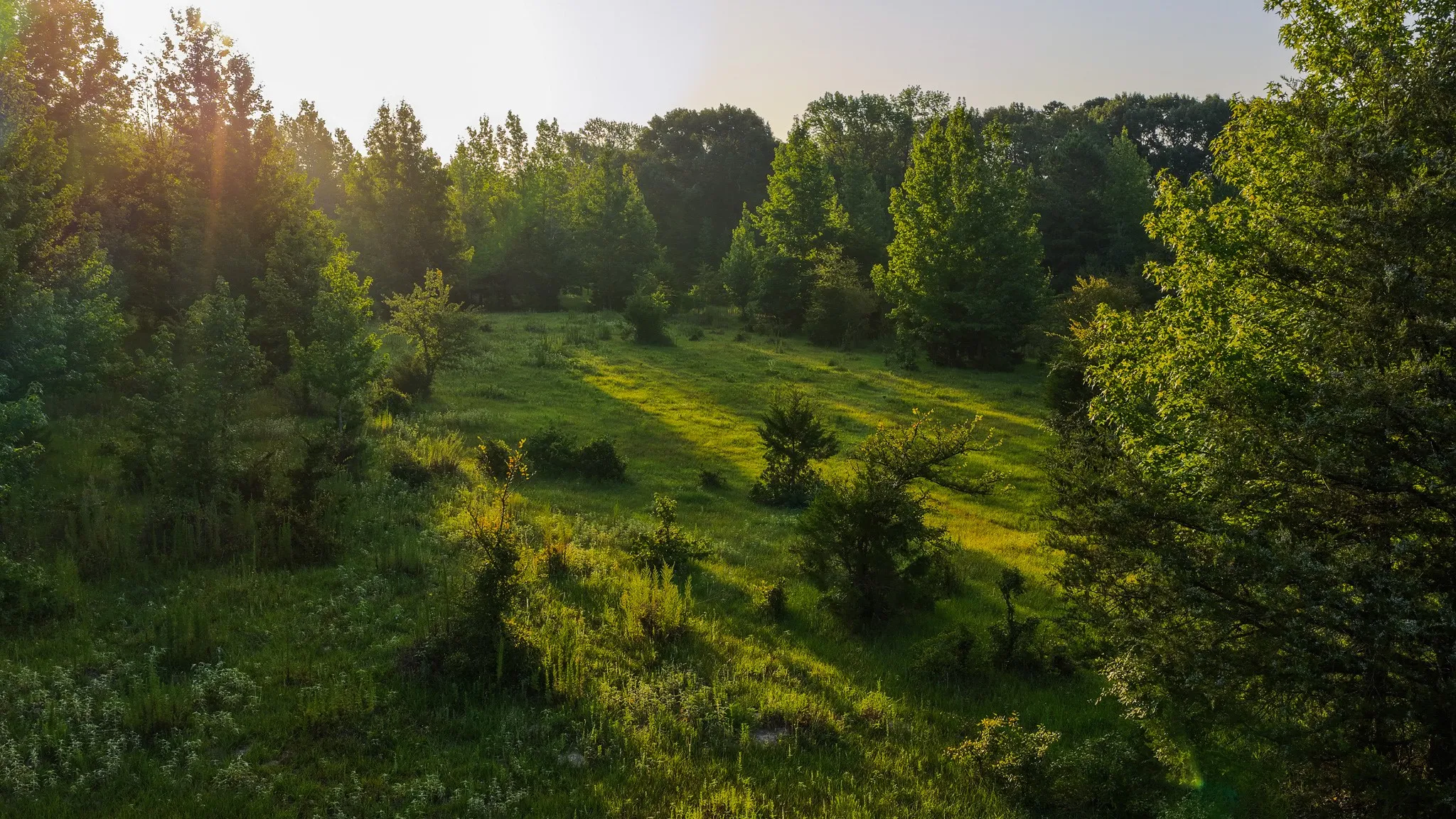 Ranch For Sale in Van Zandt County , 0000 VZ County Road 4912, Ben Wheeler, Texas 75754, 0, 0, Garage spaces, 0 Sqft, built in 0, Price $1,550,000, mls#21344972, Real Estate Agent in Ben Wheeler, Homes For Sale in Van Zandt county, Homes For Sale in Ben Wheeler, Realtor in Ben Wheeler Texas, Real Estate Brokerage Independent Realty Texas, Luminita Cordes Realtor