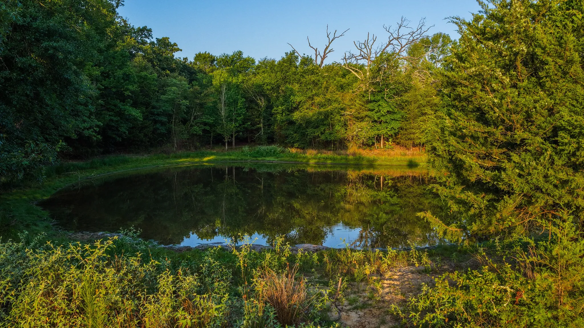 Ranch For Sale in Van Zandt County , 0000 VZ County Road 4912, Ben Wheeler, Texas 75754, 0, 0, Garage spaces, 0 Sqft, built in 0, Price $1,550,000, mls#21344972, Real Estate Agent in Ben Wheeler, Homes For Sale in Van Zandt county, Homes For Sale in Ben Wheeler, Realtor in Ben Wheeler Texas, Real Estate Brokerage Independent Realty Texas, Luminita Cordes Realtor