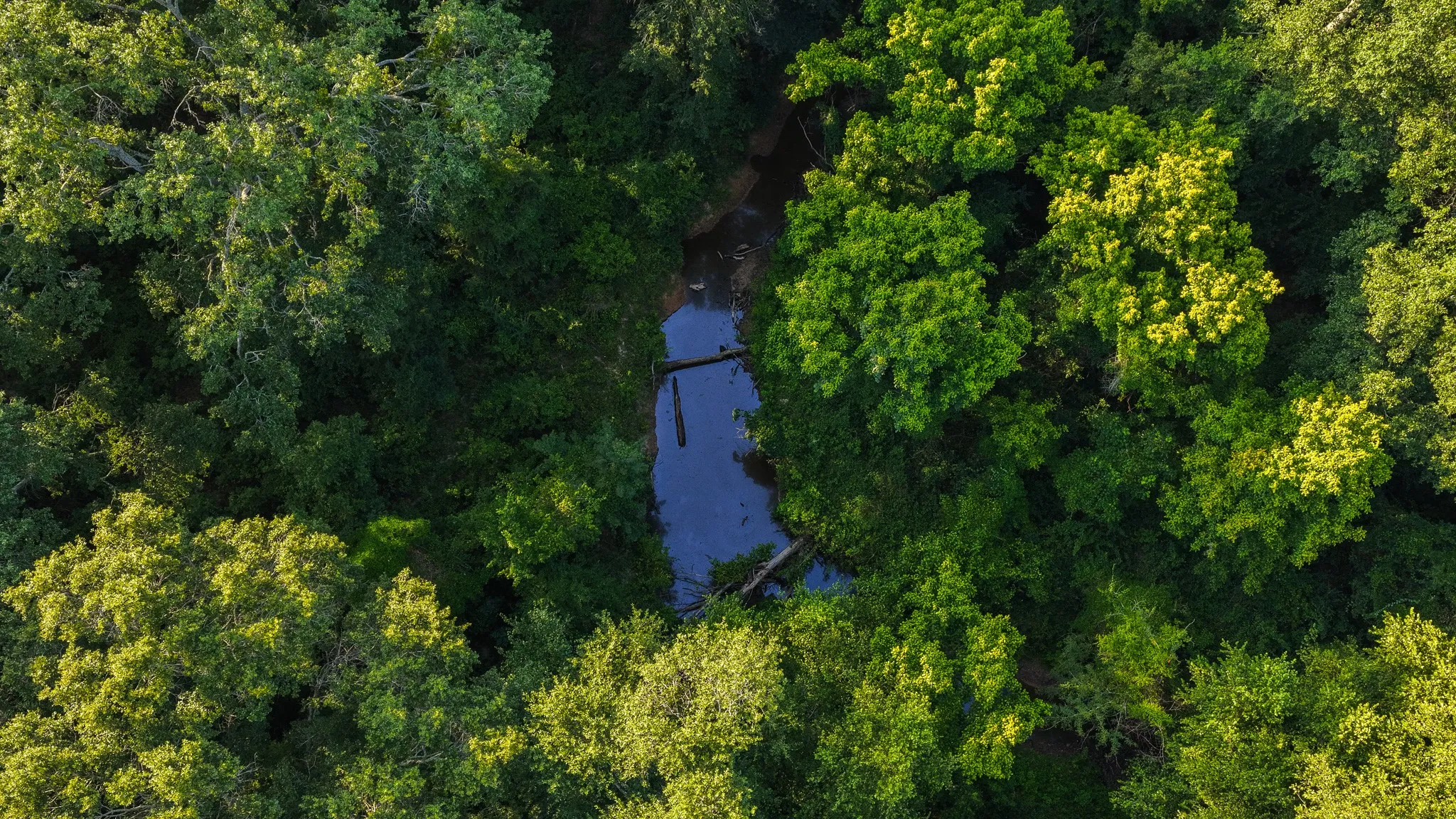 Ranch For Sale in Van Zandt County , 0000 VZ County Road 4912, Ben Wheeler, Texas 75754, 0, 0, Garage spaces, 0 Sqft, built in 0, Price $1,550,000, mls#21344972, Real Estate Agent in Ben Wheeler, Homes For Sale in Van Zandt county, Homes For Sale in Ben Wheeler, Realtor in Ben Wheeler Texas, Real Estate Brokerage Independent Realty Texas, Luminita Cordes Realtor