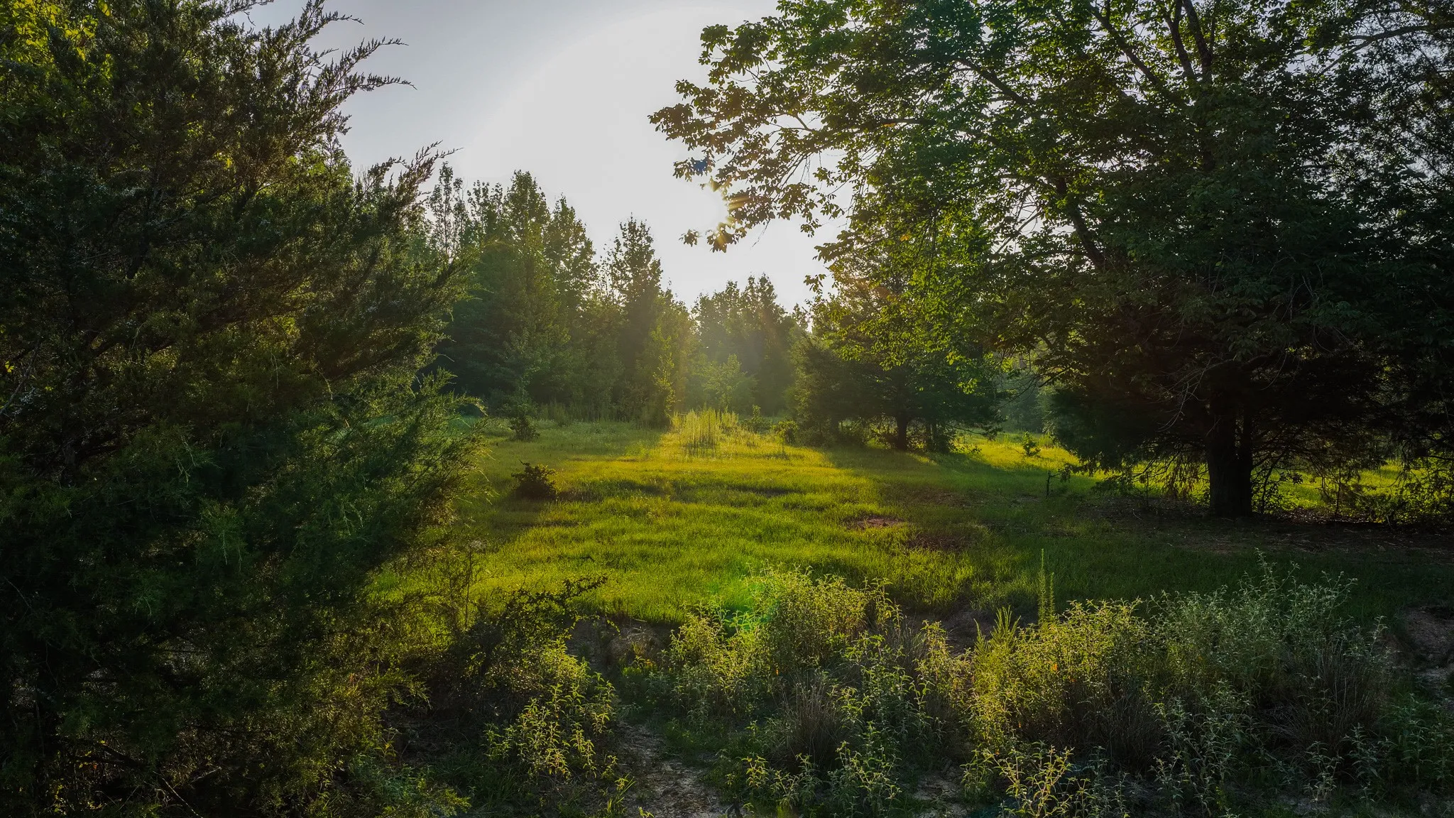 Ranch For Sale in Van Zandt County , 0000 VZ County Road 4912, Ben Wheeler, Texas 75754, 0, 0, Garage spaces, 0 Sqft, built in 0, Price $1,550,000, mls#21344972, Real Estate Agent in Ben Wheeler, Homes For Sale in Van Zandt county, Homes For Sale in Ben Wheeler, Realtor in Ben Wheeler Texas, Real Estate Brokerage Independent Realty Texas, Luminita Cordes Realtor
