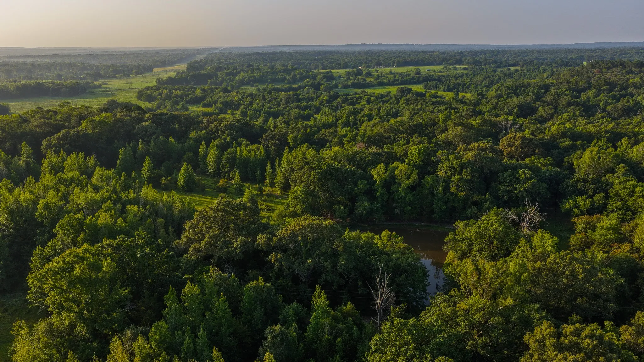 Ranch For Sale in Van Zandt County , 0000 VZ County Road 4912, Ben Wheeler, Texas 75754, 0, 0, Garage spaces, 0 Sqft, built in 0, Price $1,550,000, mls#21344972, Real Estate Agent in Ben Wheeler, Homes For Sale in Van Zandt county, Homes For Sale in Ben Wheeler, Realtor in Ben Wheeler Texas, Real Estate Brokerage Independent Realty Texas, Luminita Cordes Realtor