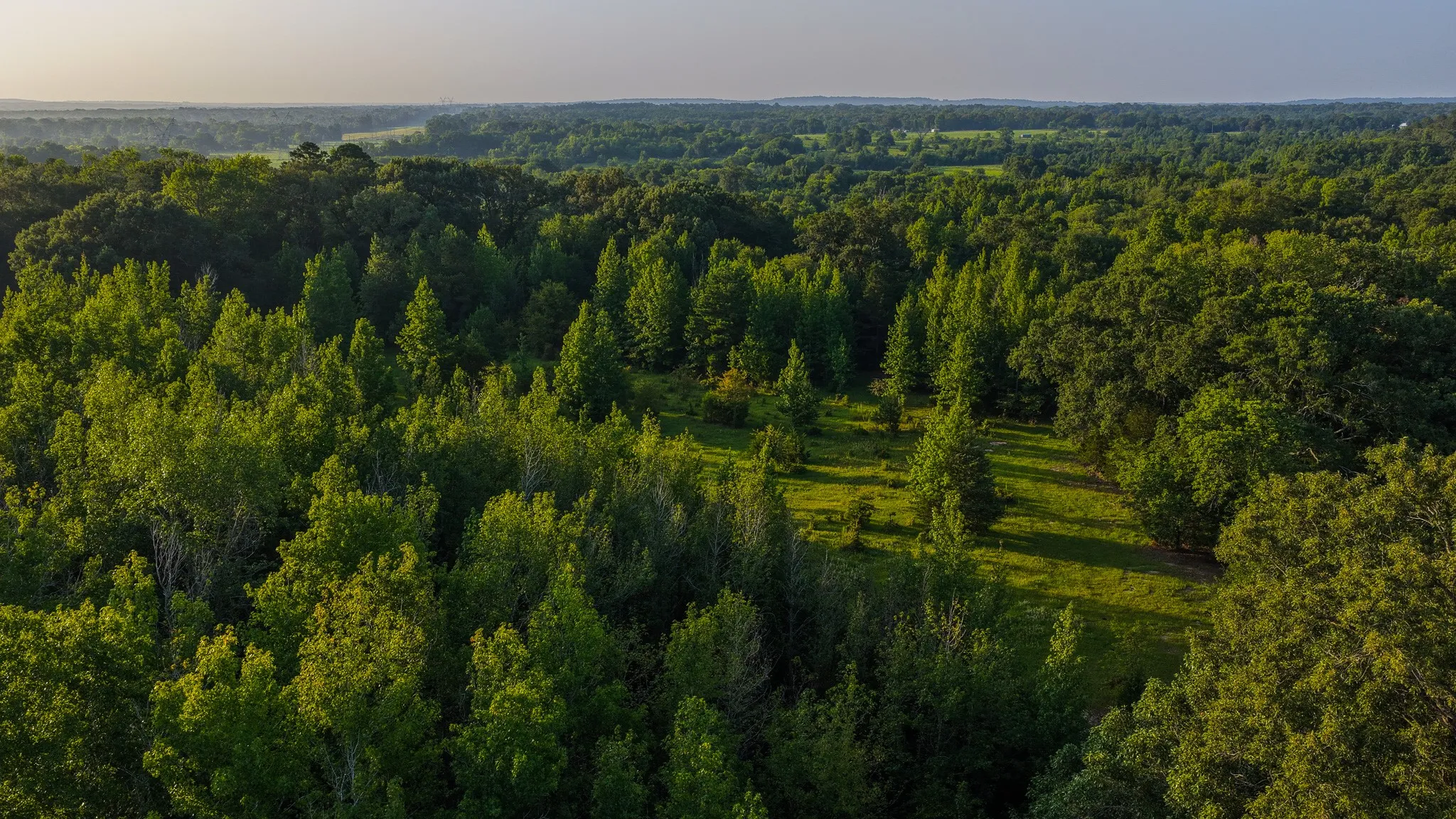 Ranch For Sale in Van Zandt County , 0000 VZ County Road 4912, Ben Wheeler, Texas 75754, 0, 0, Garage spaces, 0 Sqft, built in 0, Price $1,550,000, mls#21344972, Real Estate Agent in Ben Wheeler, Homes For Sale in Van Zandt county, Homes For Sale in Ben Wheeler, Realtor in Ben Wheeler Texas, Real Estate Brokerage Independent Realty Texas, Luminita Cordes Realtor