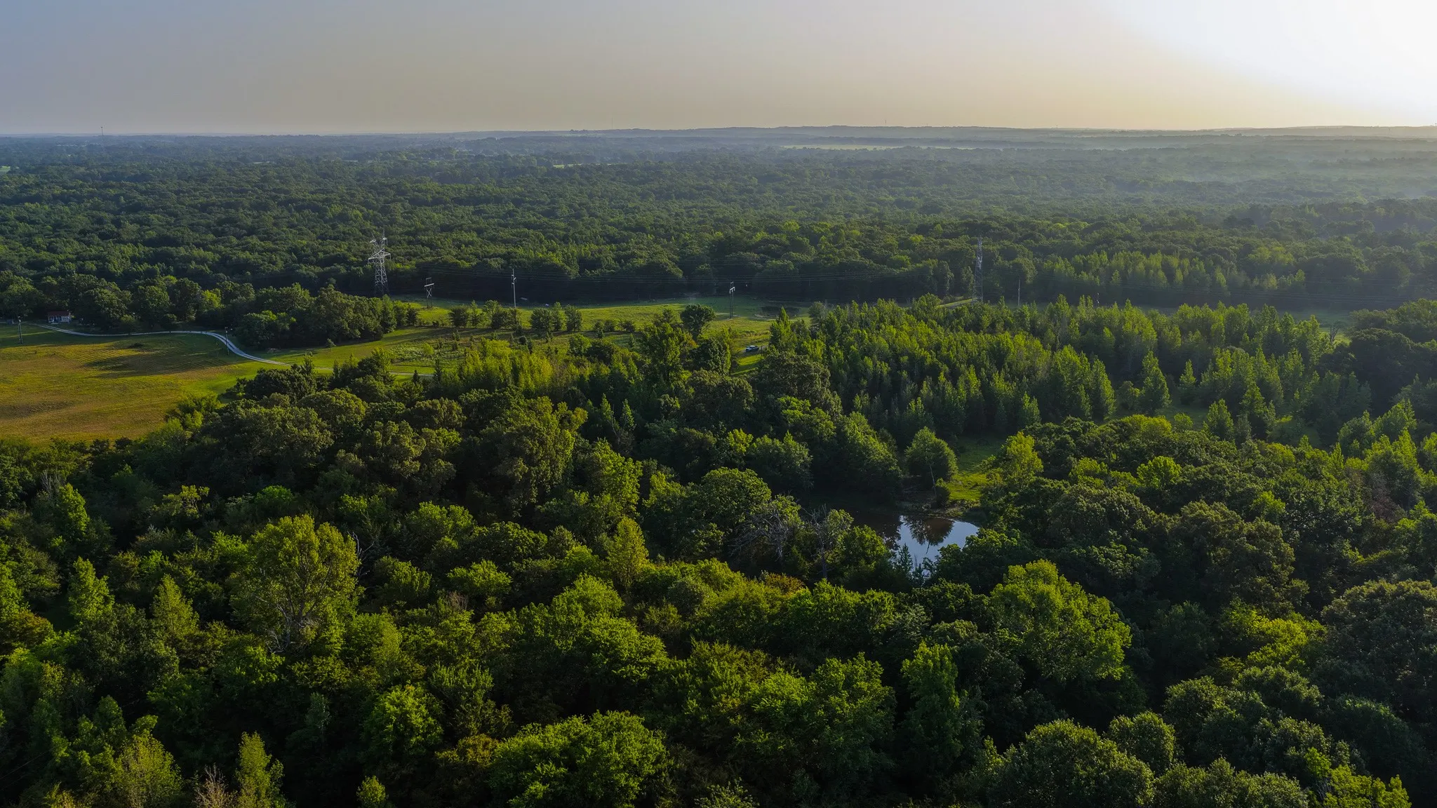 Ranch For Sale in Van Zandt County , 0000 VZ County Road 4912, Ben Wheeler, Texas 75754, 0, 0, Garage spaces, 0 Sqft, built in 0, Price $1,550,000, mls#21344972, Real Estate Agent in Ben Wheeler, Homes For Sale in Van Zandt county, Homes For Sale in Ben Wheeler, Realtor in Ben Wheeler Texas, Real Estate Brokerage Independent Realty Texas, Luminita Cordes Realtor