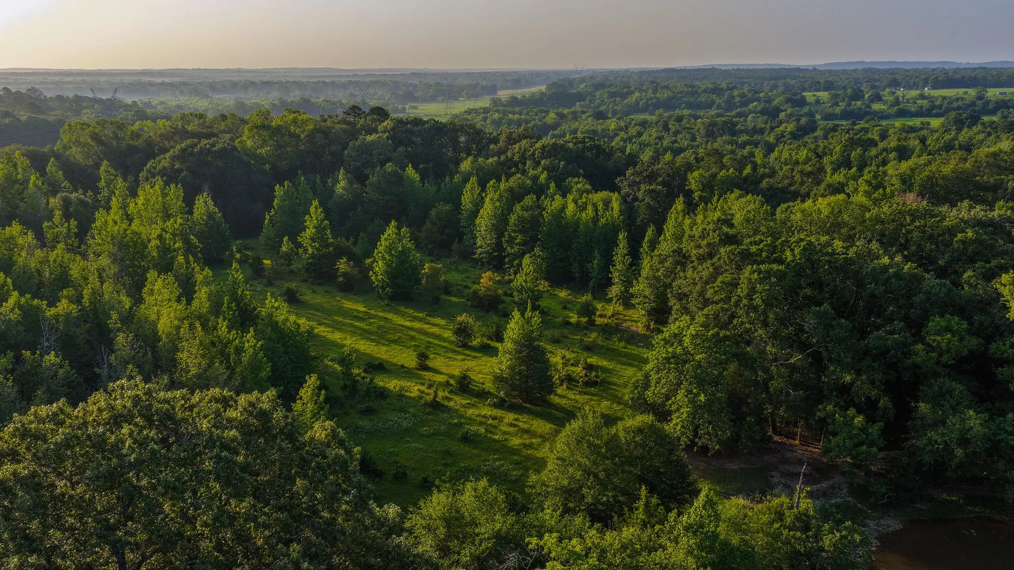 Ranch For Sale in Van Zandt County , 0000 VZ County Road 4912, Ben Wheeler, Texas 75754, 0, 0, Garage spaces, 0 Sqft, built in 0, Price $1,550,000, mls#21344972, Real Estate Agent in Ben Wheeler, Homes For Sale in Van Zandt county, Homes For Sale in Ben Wheeler, Realtor in Ben Wheeler Texas, Real Estate Brokerage Independent Realty Texas, Luminita Cordes Realtor