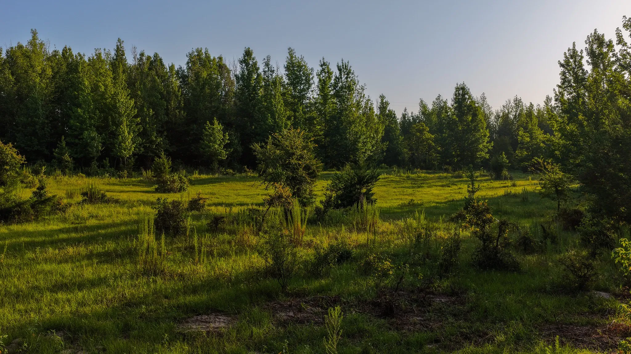Ranch For Sale in Van Zandt County , 0000 VZ County Road 4912, Ben Wheeler, Texas 75754, 0, 0, Garage spaces, 0 Sqft, built in 0, Price $1,550,000, mls#21344972, Real Estate Agent in Ben Wheeler, Homes For Sale in Van Zandt county, Homes For Sale in Ben Wheeler, Realtor in Ben Wheeler Texas, Real Estate Brokerage Independent Realty Texas, Luminita Cordes Realtor